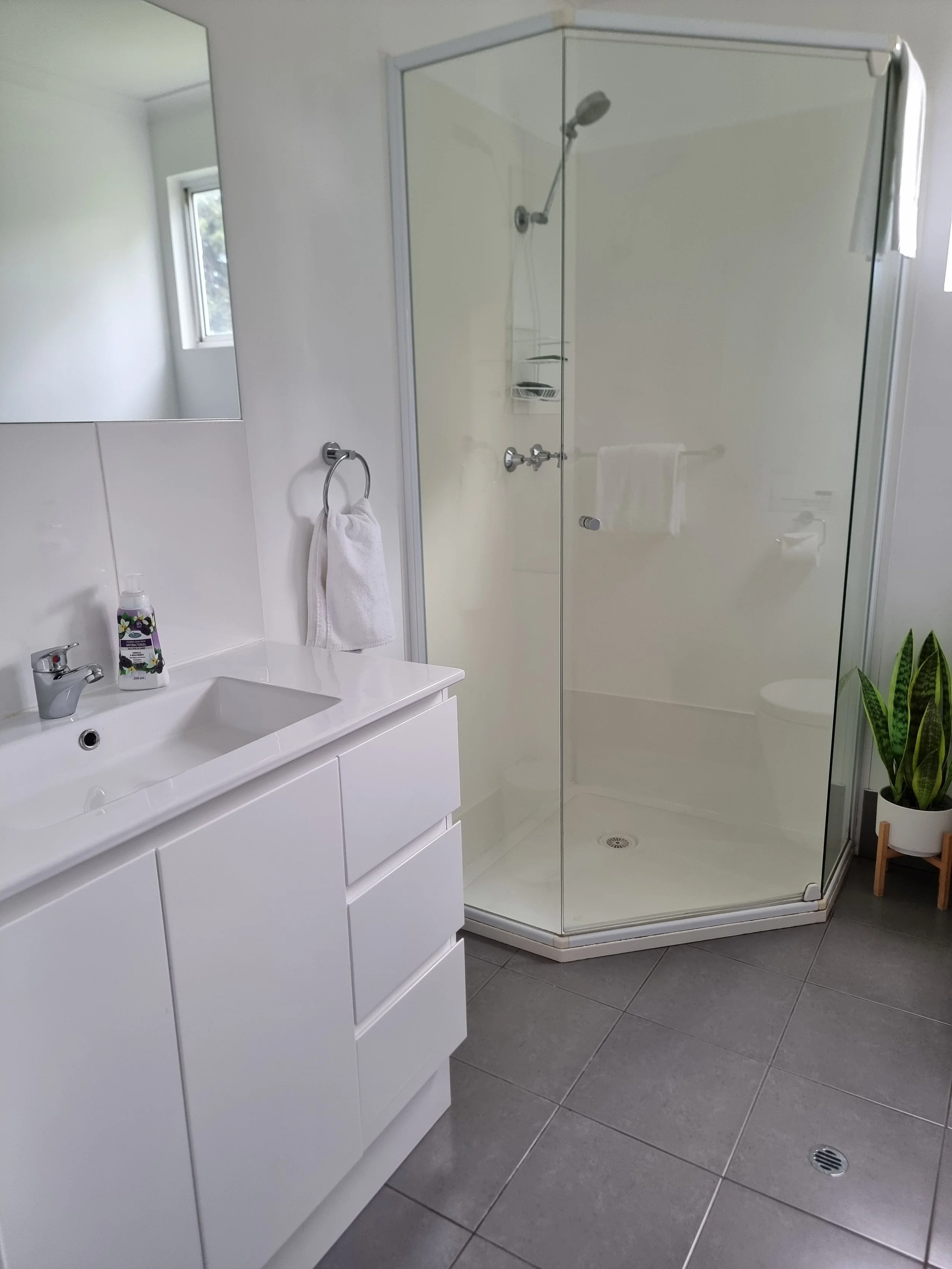 A modern bathroom with a white vanity, a mirror, a towel hanging on a towel ring, a shower with a glass enclosure, a window with natural light, and a green plant in a pot.