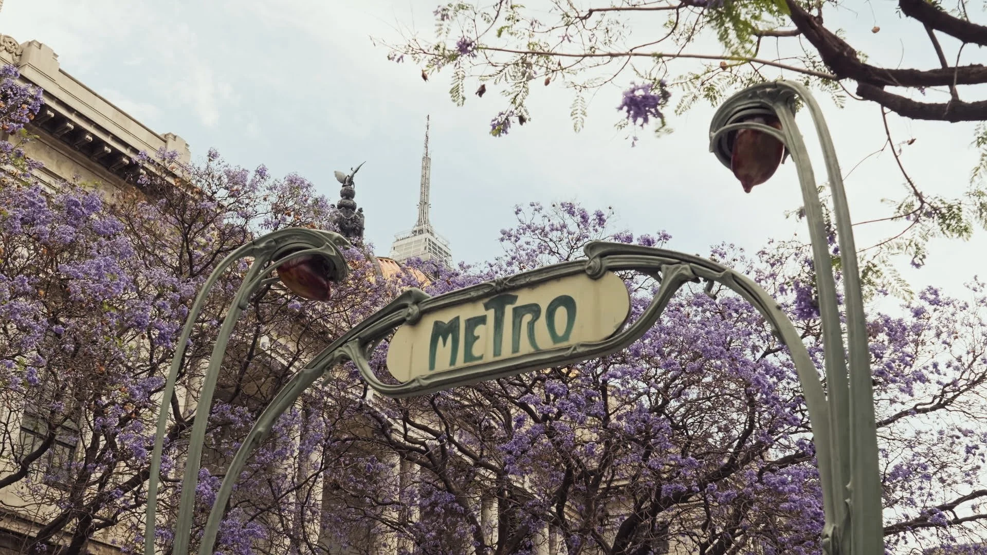 CDMX Still4_1.9.1.jpg