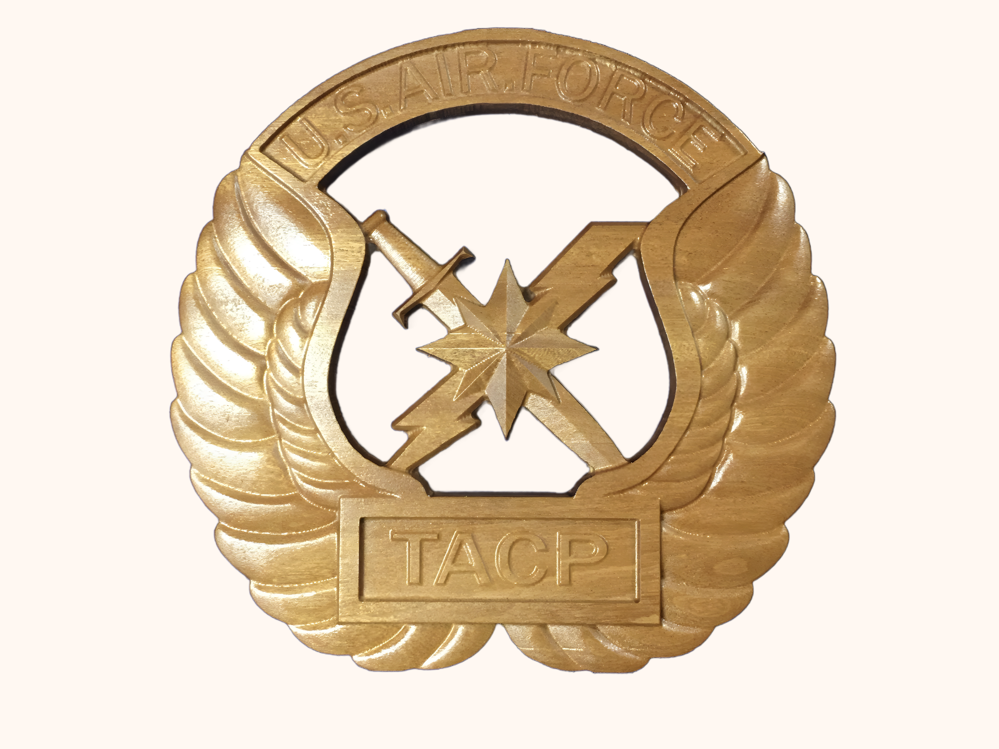 U.S. Air Force Tactical Air Control Party Emblem