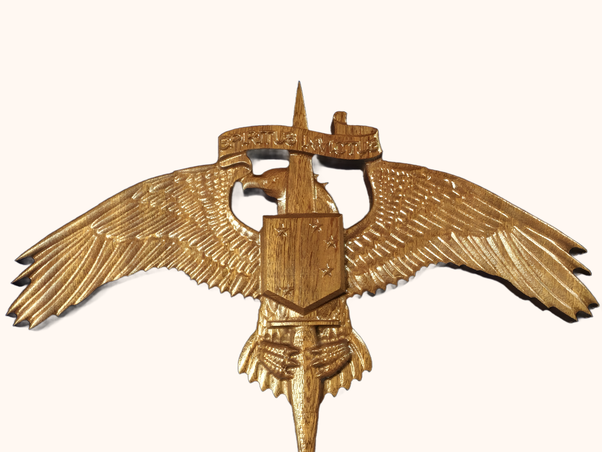 USMC Raider Emblem