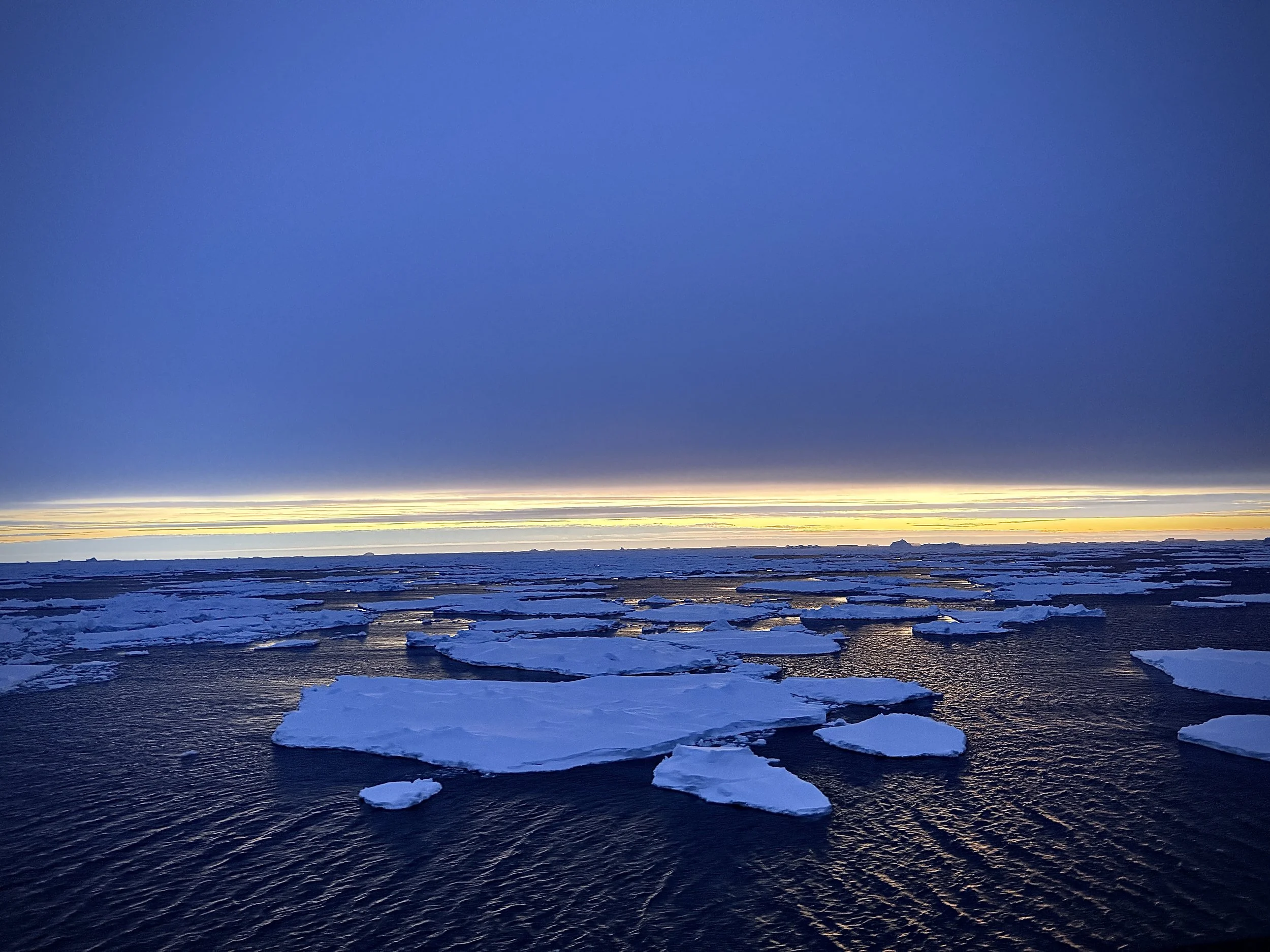 Antarctica Sunrise (Blue Hour) Icebergs & Sea Ice 6