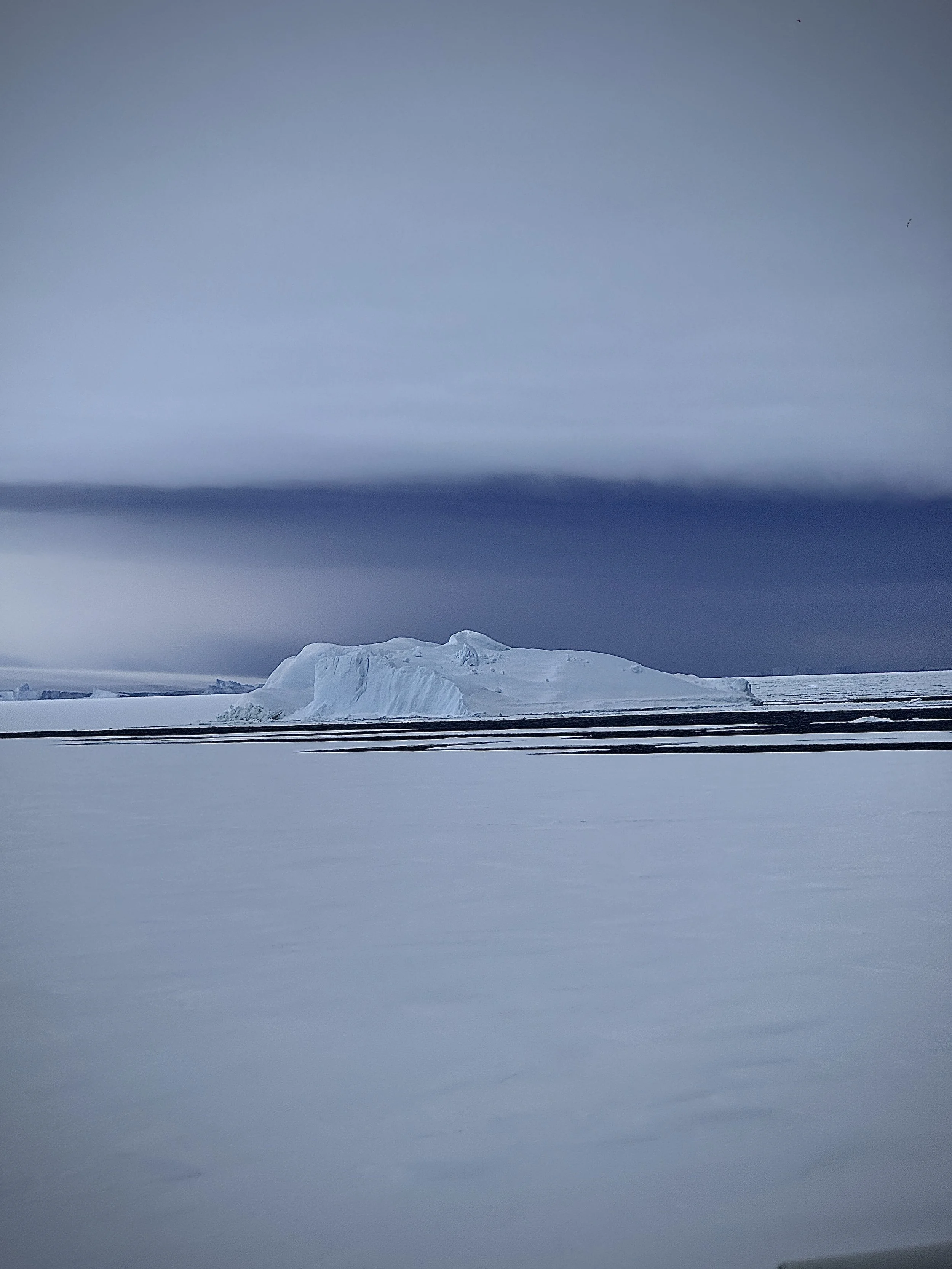 Icebergs & Sea Ice 1