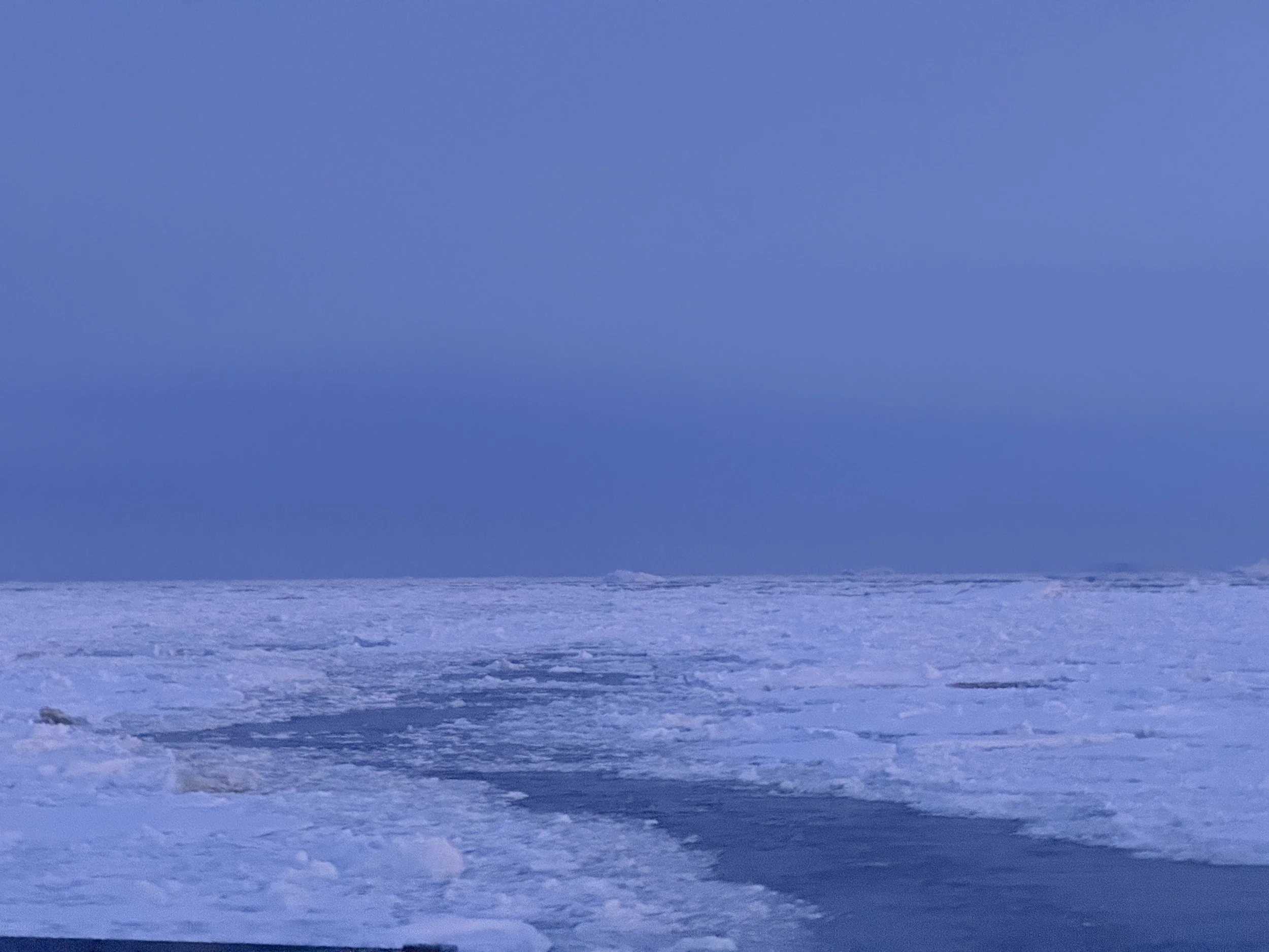 Antarctica Sunrise (Blue Hour) Icebergs & Sea Ice 5