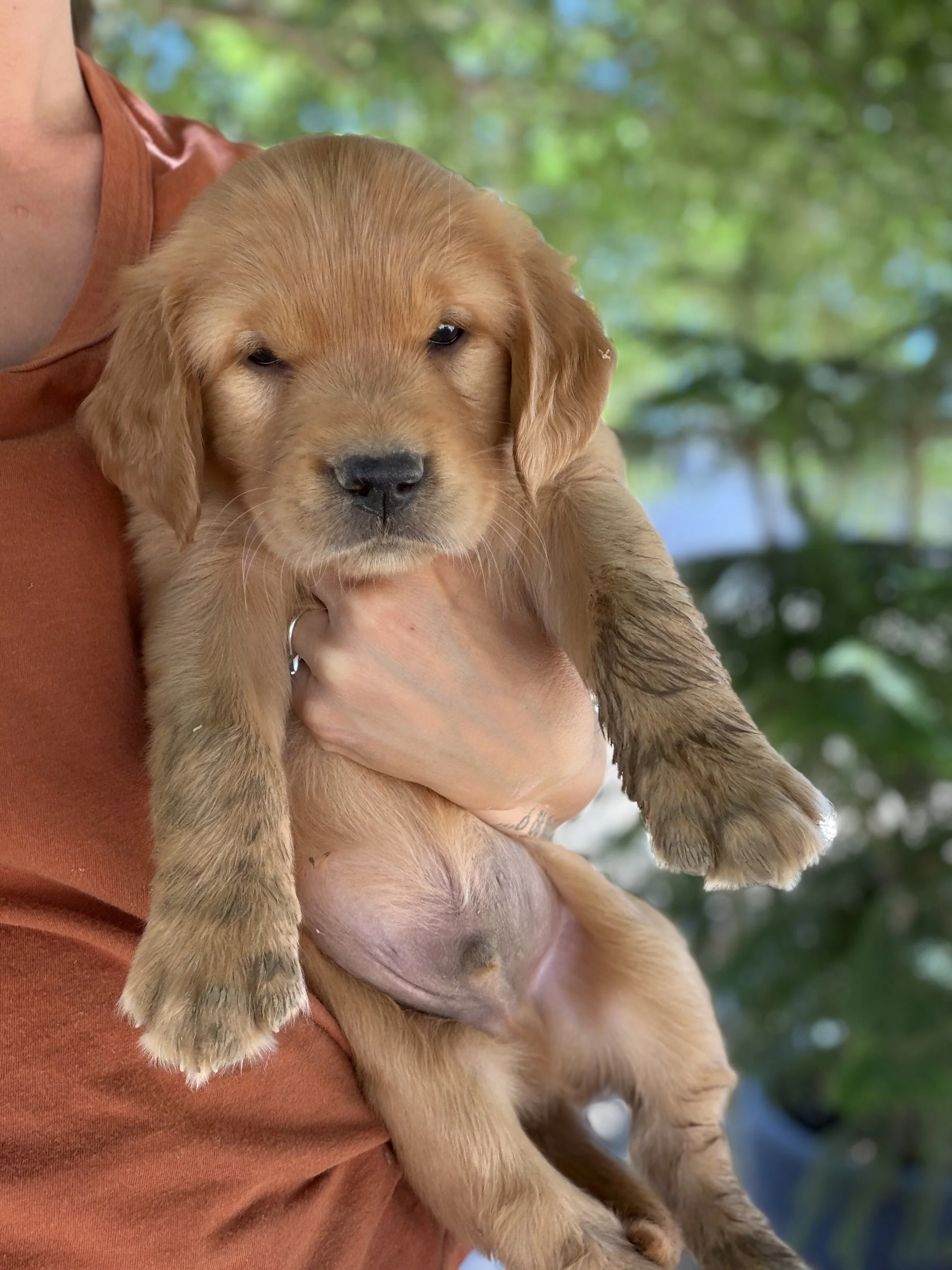 Sweet boy Hamilton