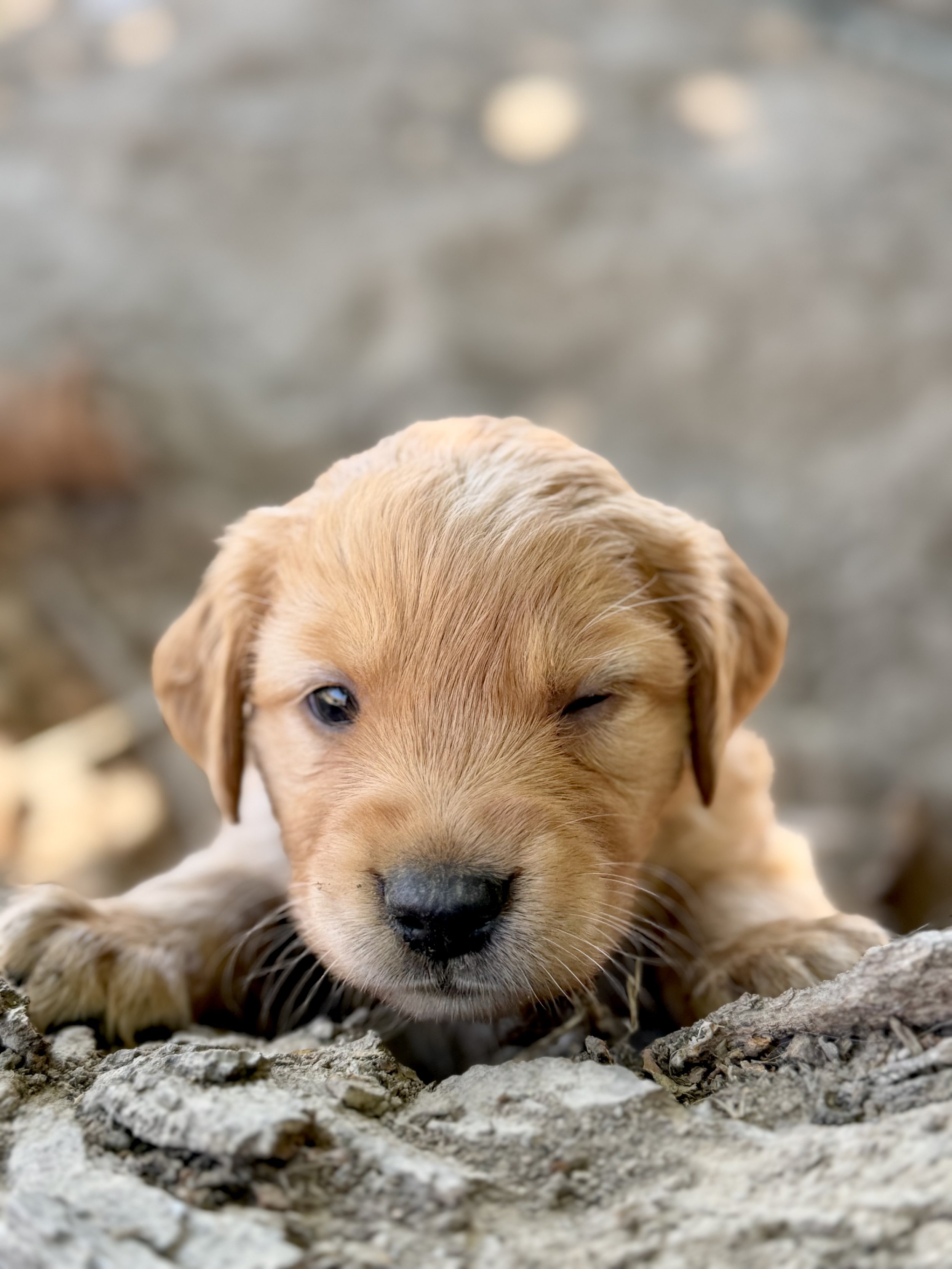 Charlie gives a wink