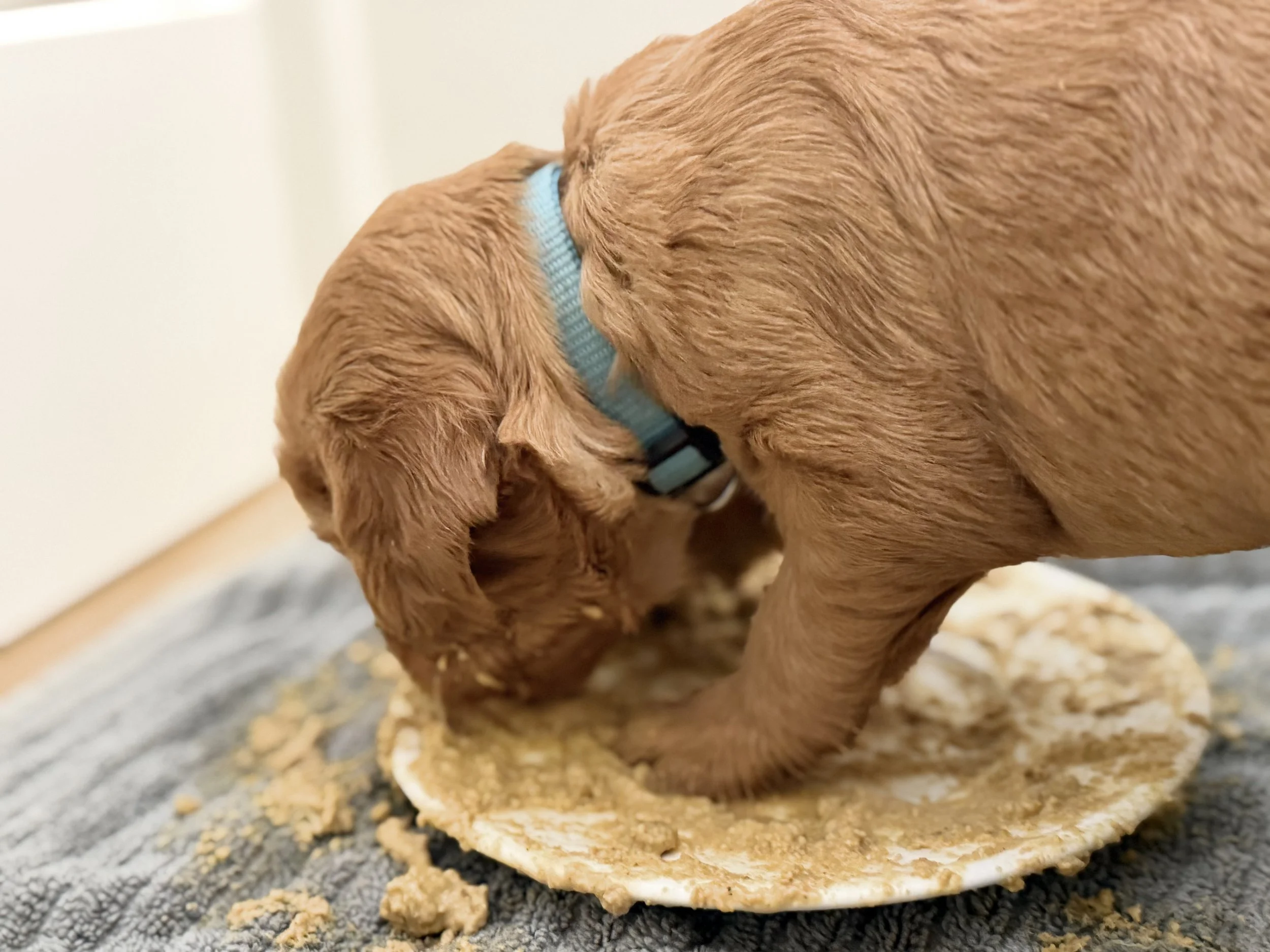 We are very messy eaters