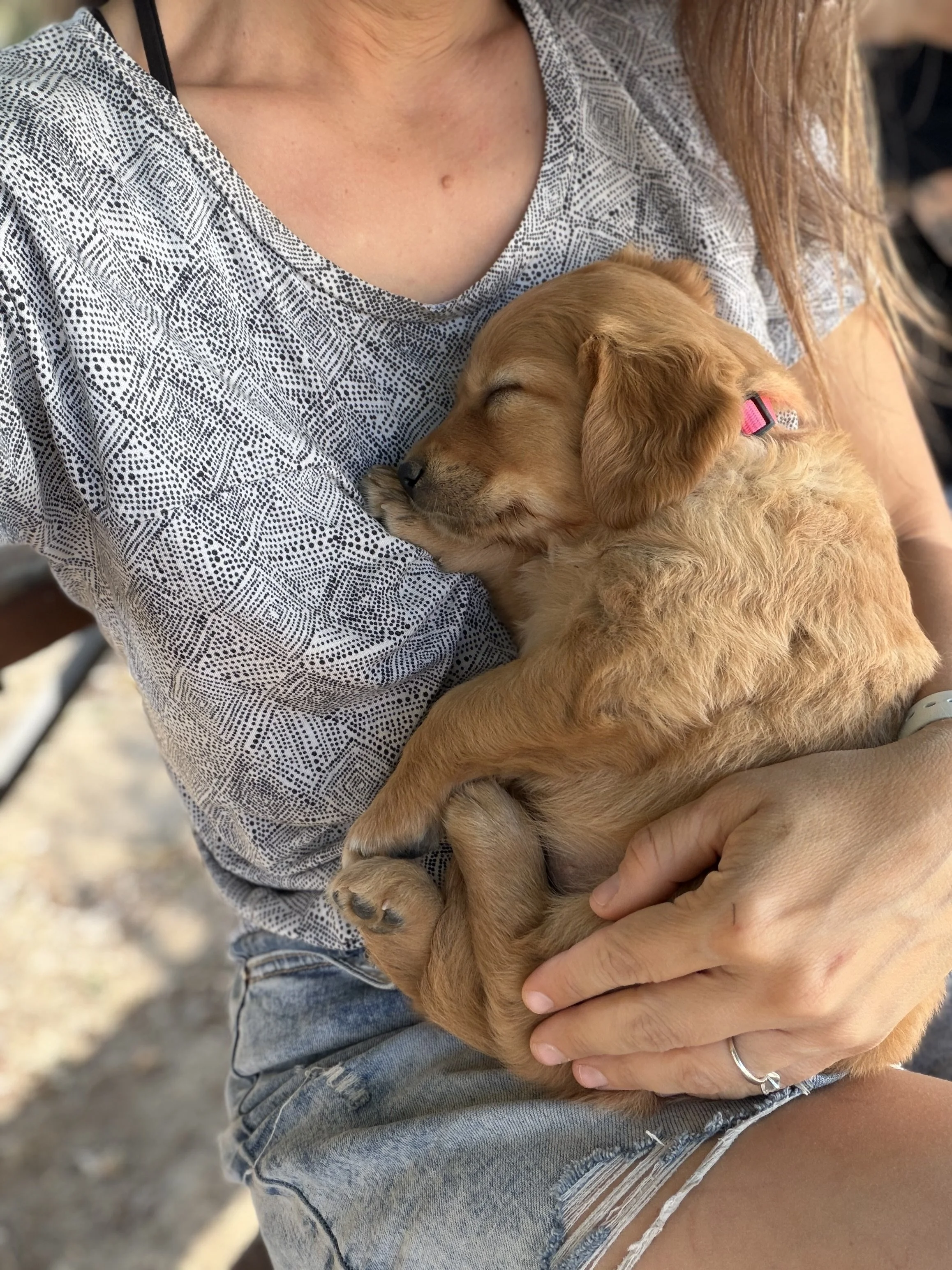 Sleepy Madison