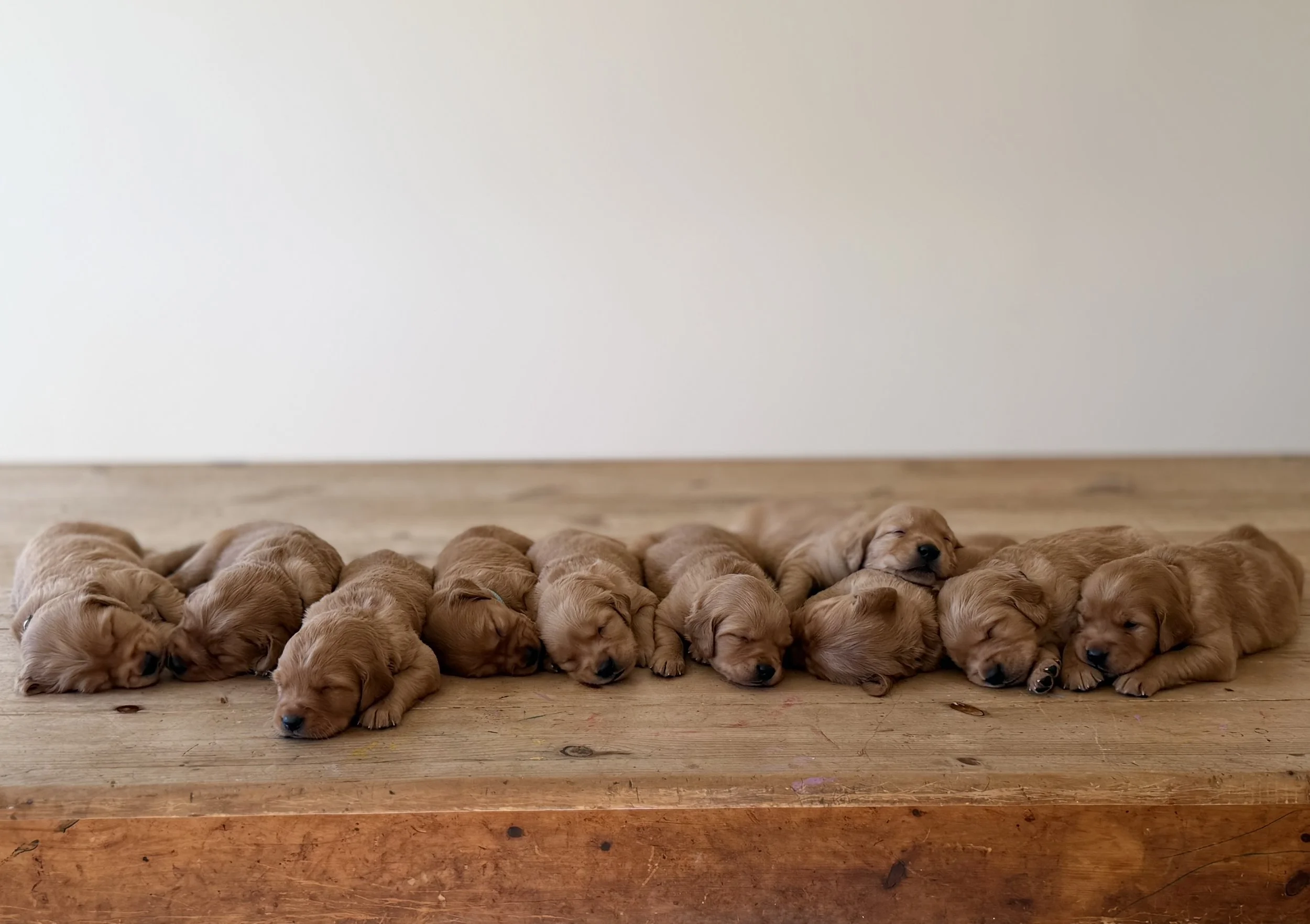 Three Weeks
