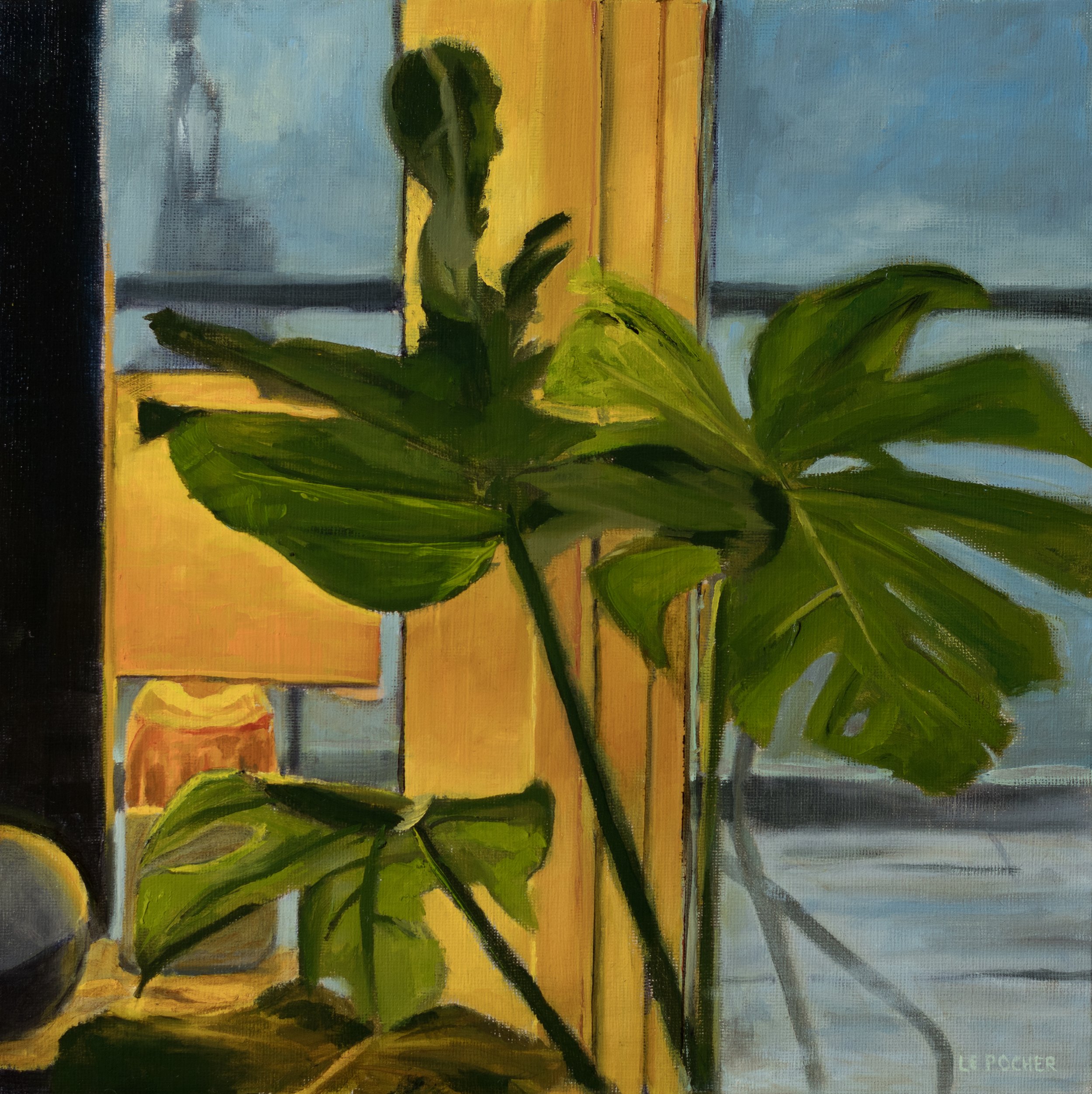 Monstera and light