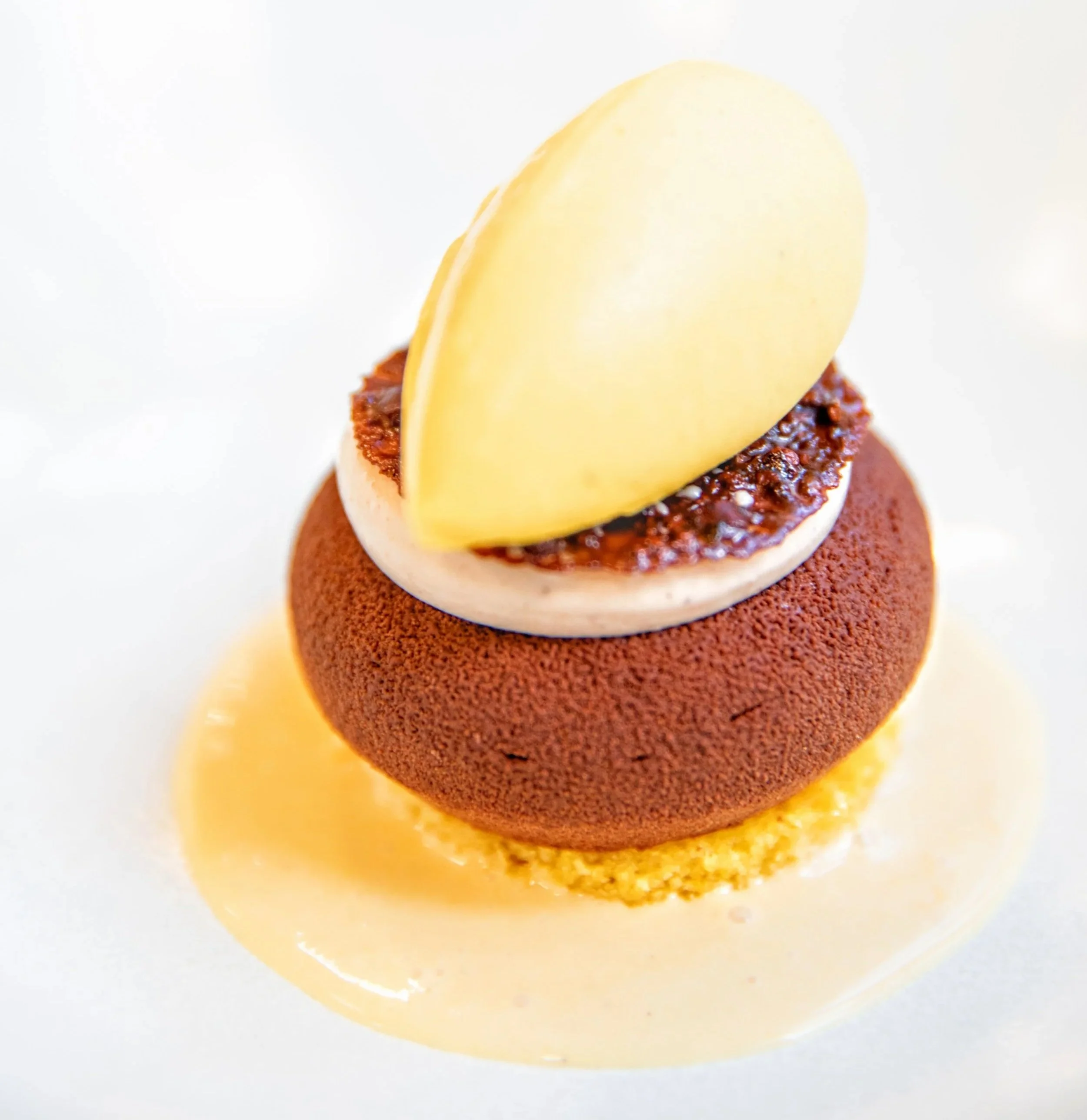 Close-up of a chocolate delice, orange polenta cake, orange  vanilla custard, chestnut cream, cocoa nib tuile and a spiced pumpkin and mandarin ice cream.
