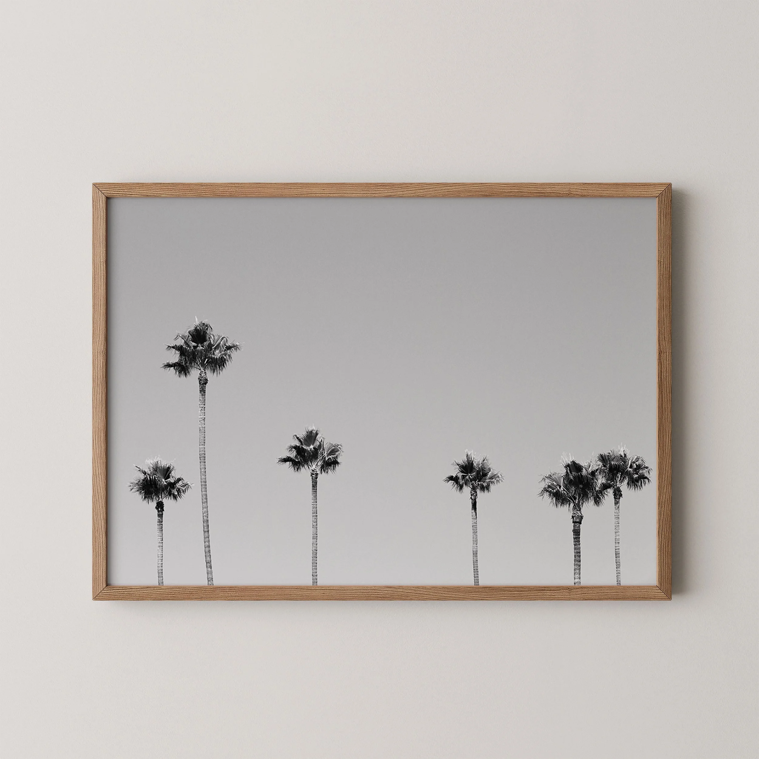 Six Palms LA