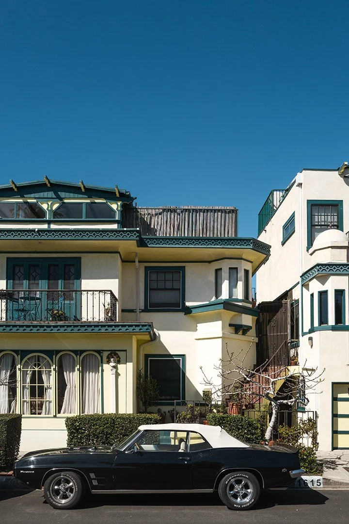 Firebird Venice L1009880.jpg