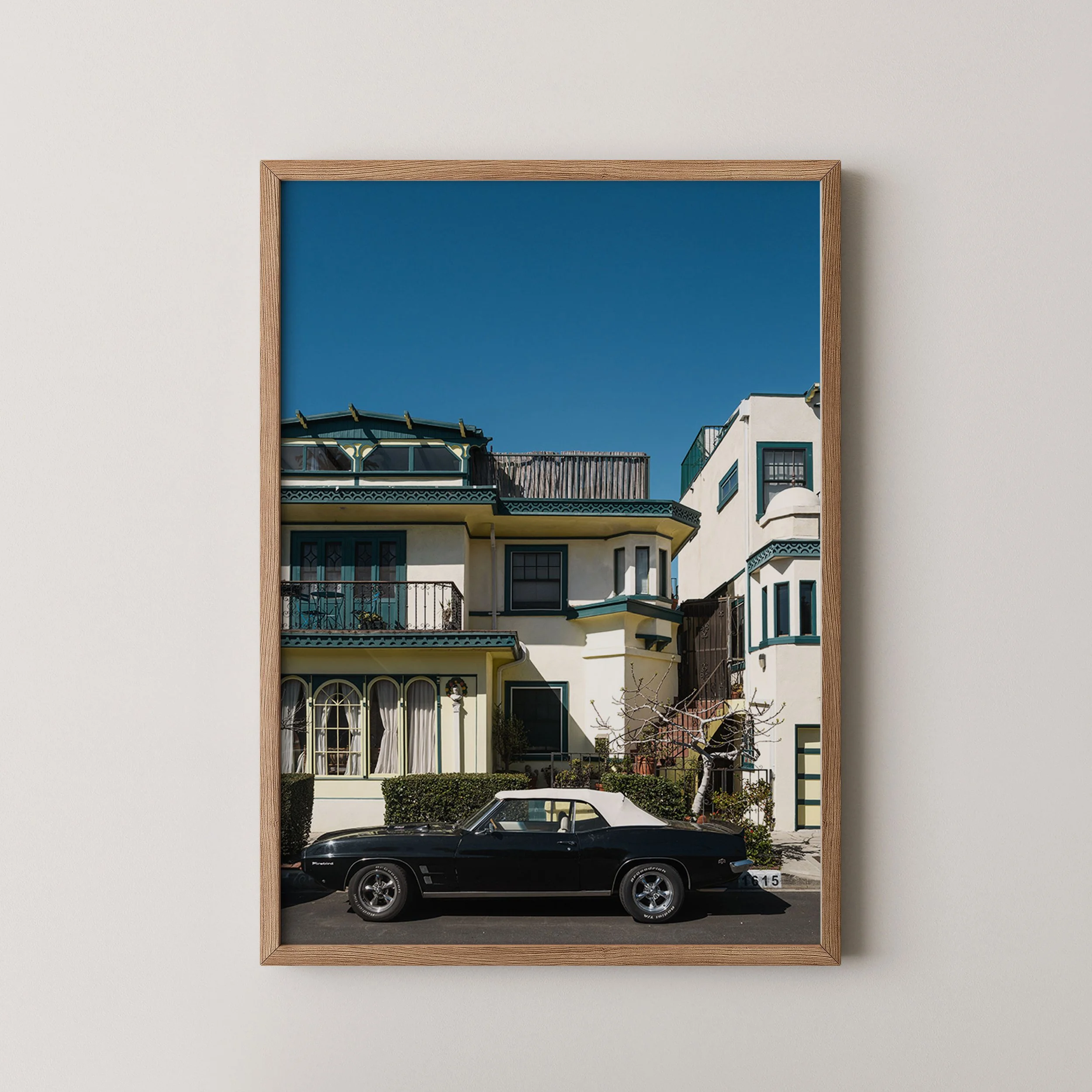 Black Firebird Venice