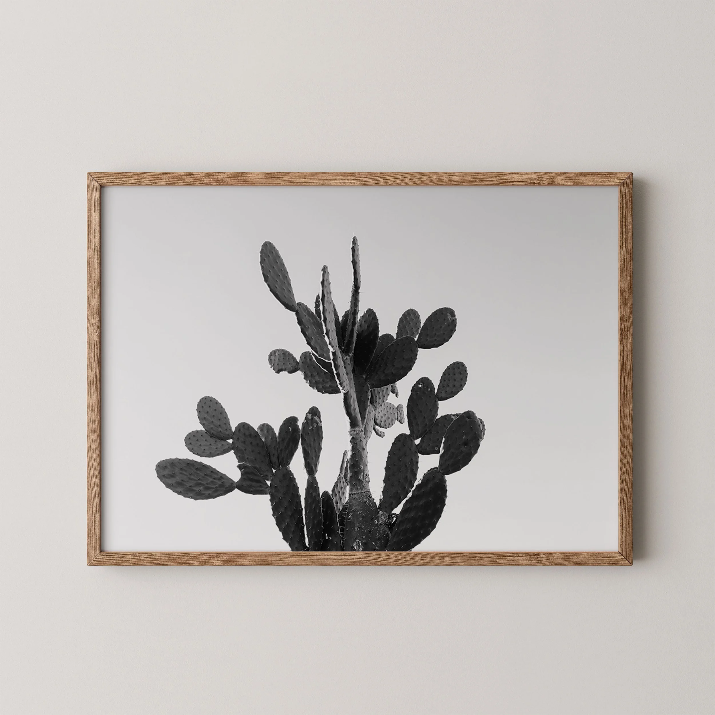 Prickly Pear