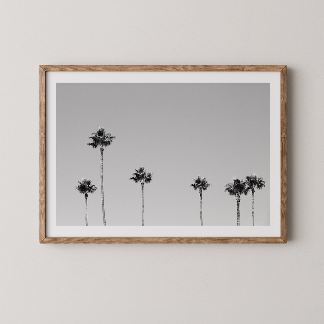 Six Palms LA