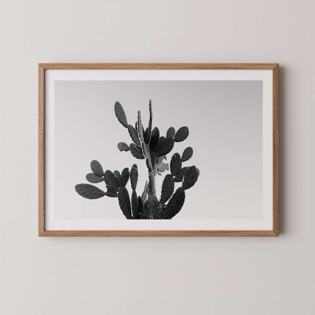 Prickly Pear