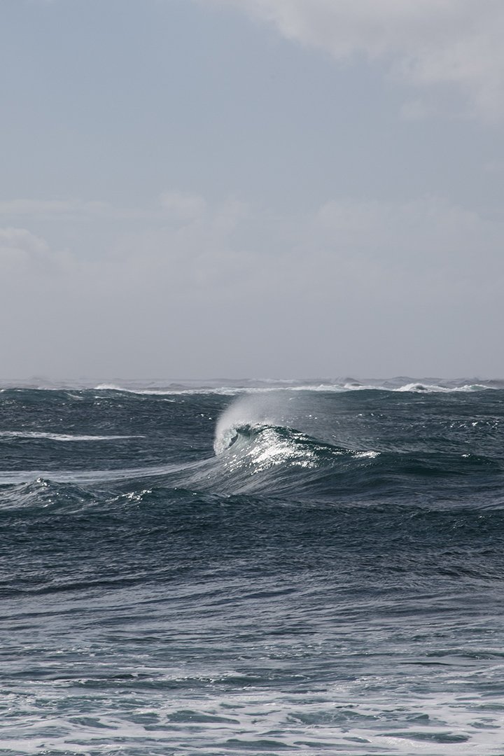 Hawaii IMG_7469.jpg