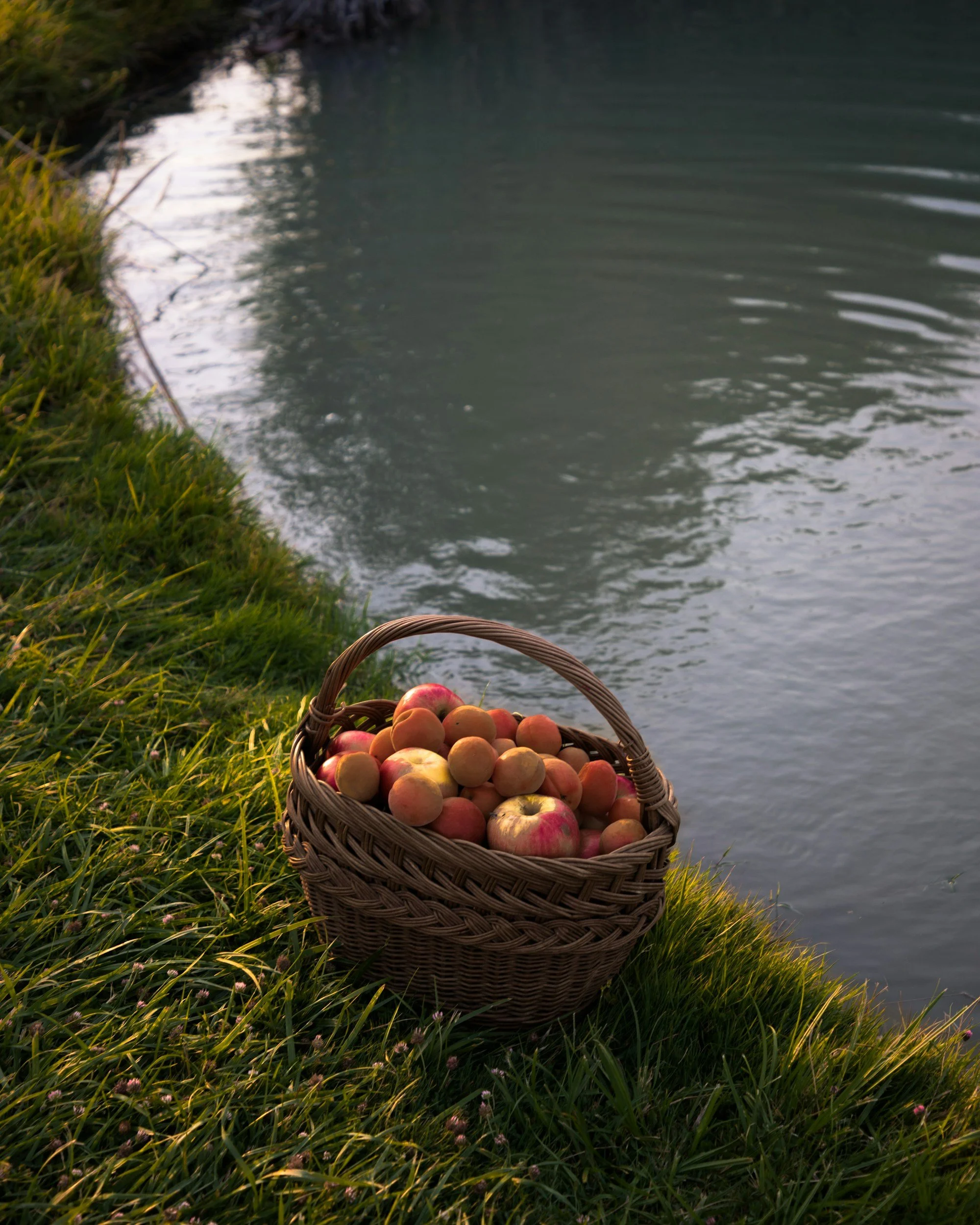 A wicker basket filled with apples and peaches is placed on the grass near a body of water, with a grassy shoreline in the background.