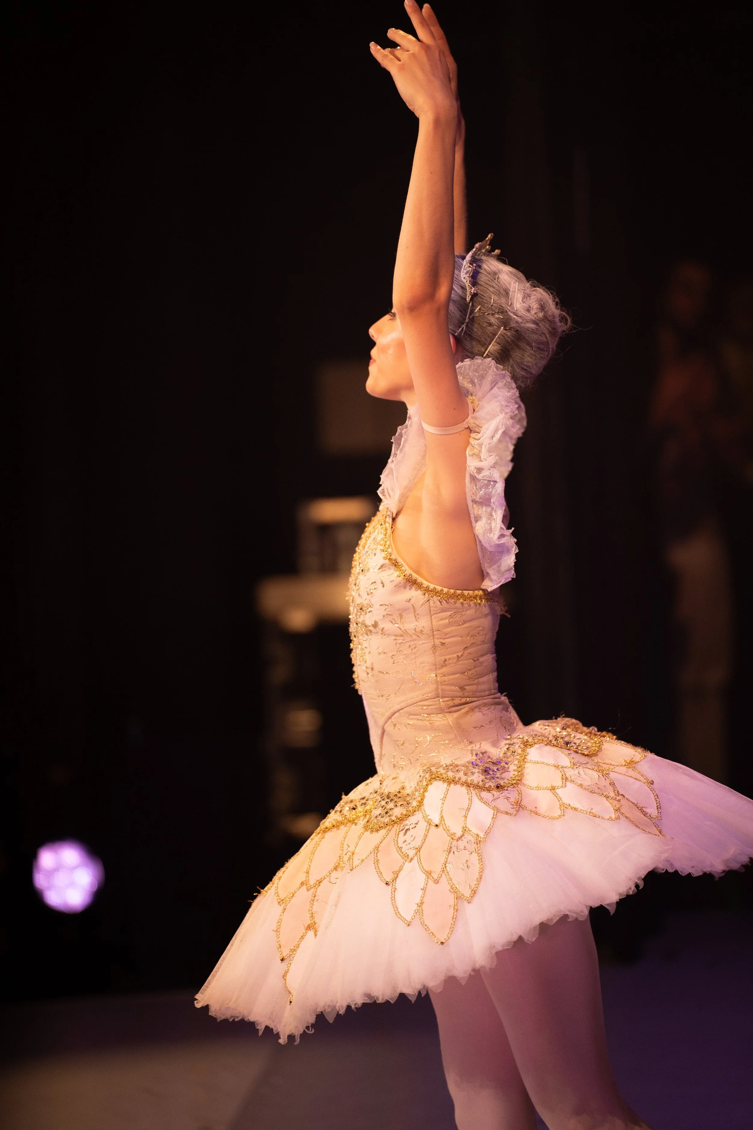 Ballet dancer in a pink tutu with gold embroidery, raising her arms, backstage setting with dark background and purple lighting.
