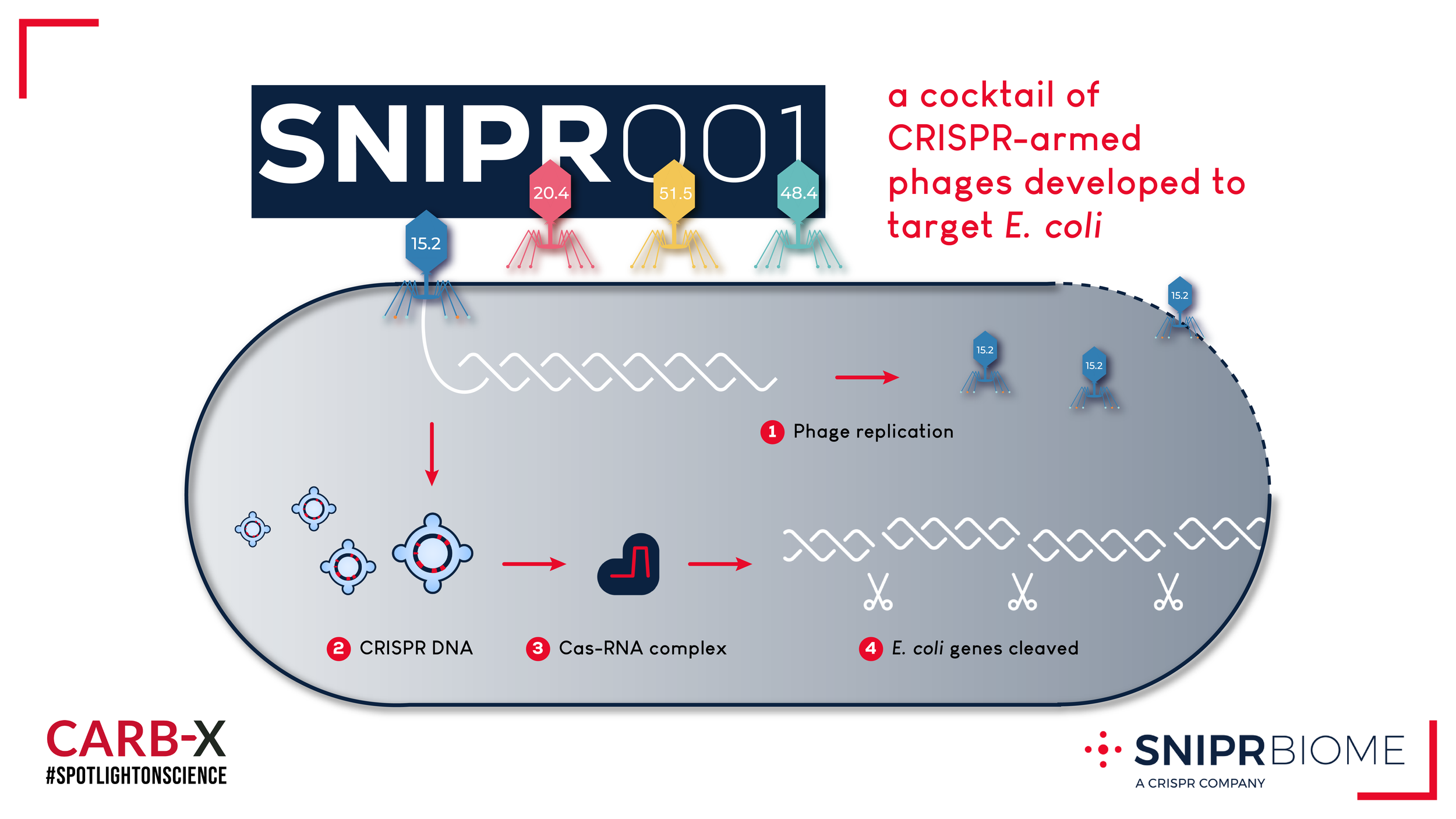 SNIPR Biome-01.png