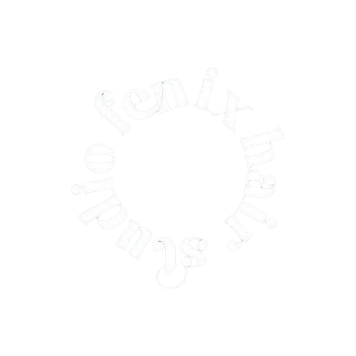 Fenix Hair Studio