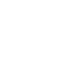 Slaney Advisors