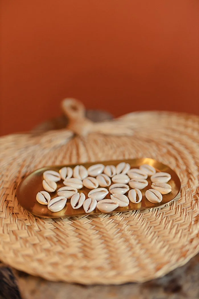 Búzio - Cowrie Shell