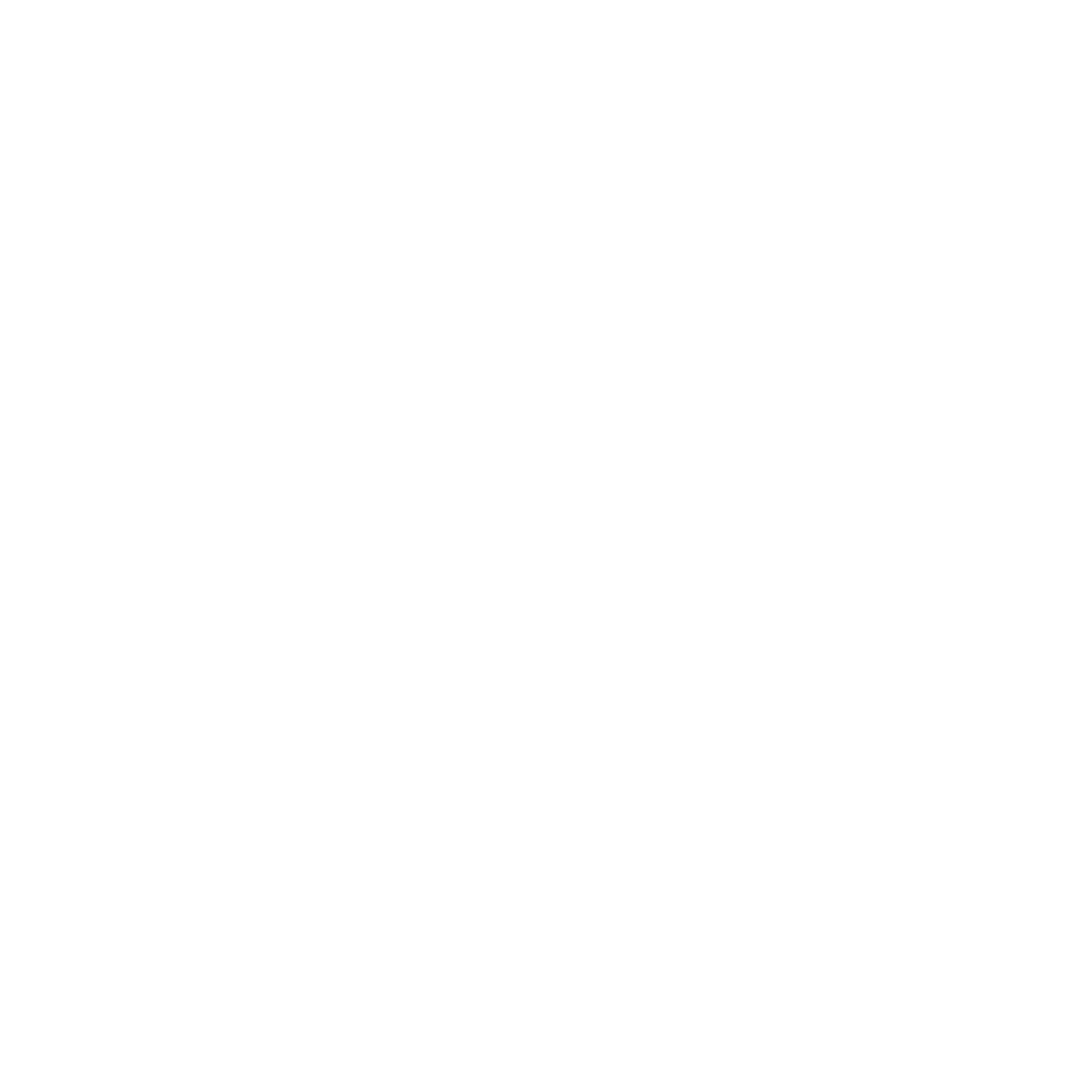 Daria Radwan Photography