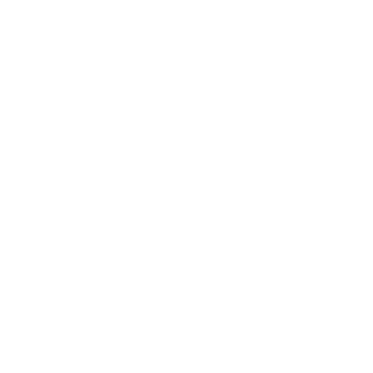 Daria Radwan Photography