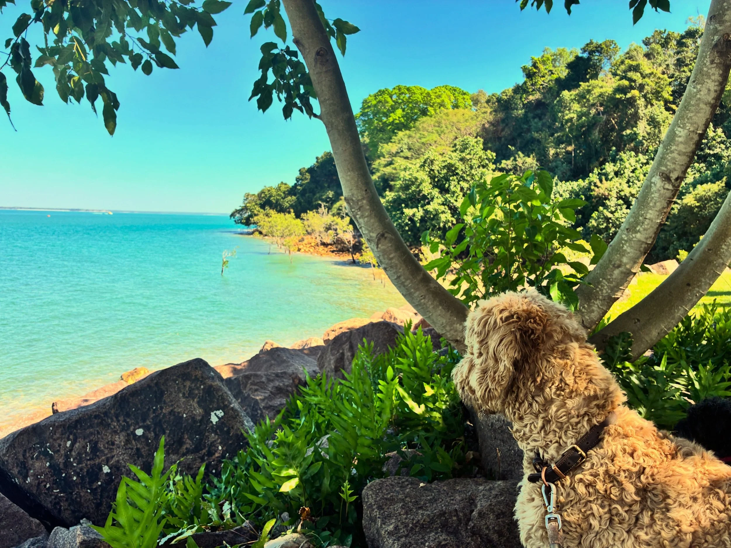 Beautiful Darwin ❤️💫