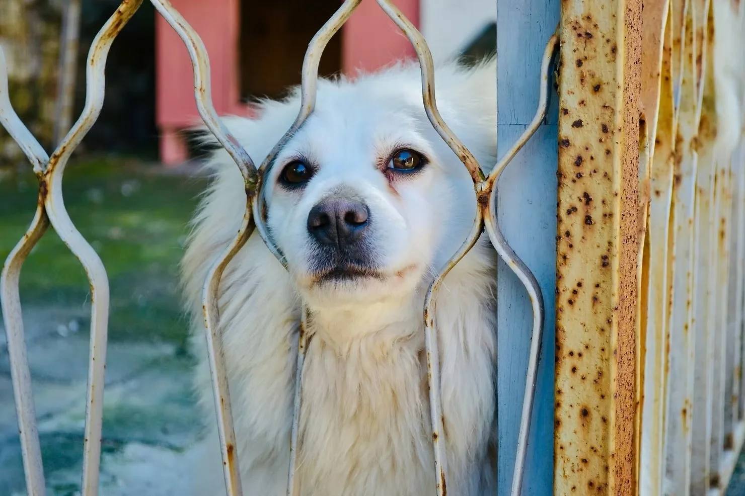 Breaking free
