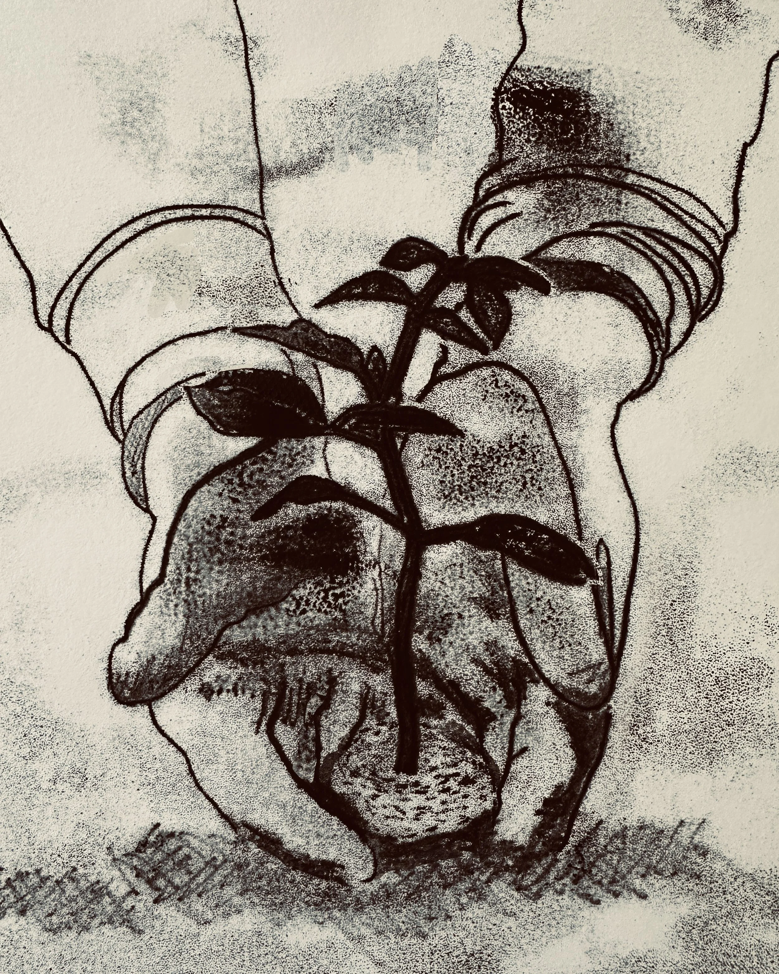 Two cupped hands gently plant a seedling in the earth.