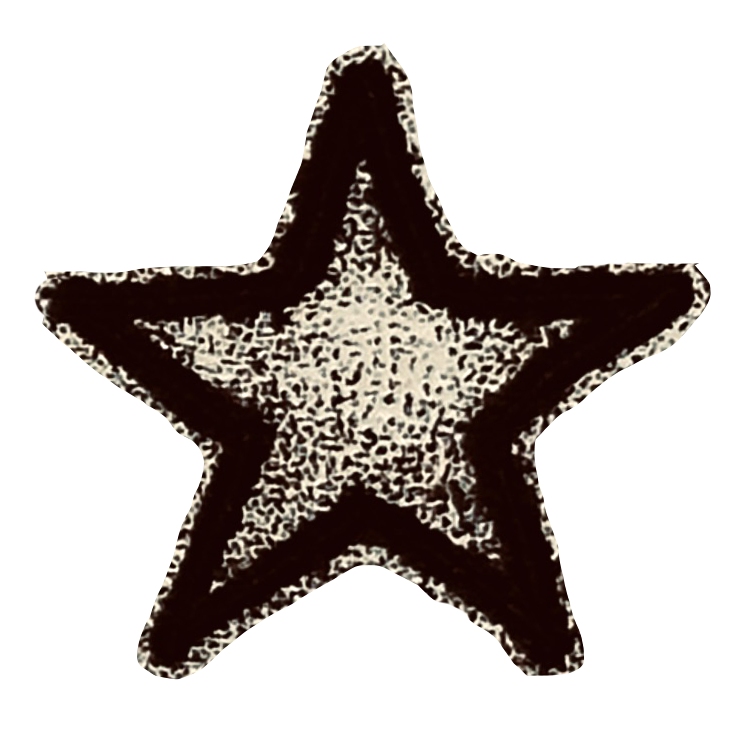 A star-shaped object with a textured, speckled pattern and a dark outline, set against a black background.