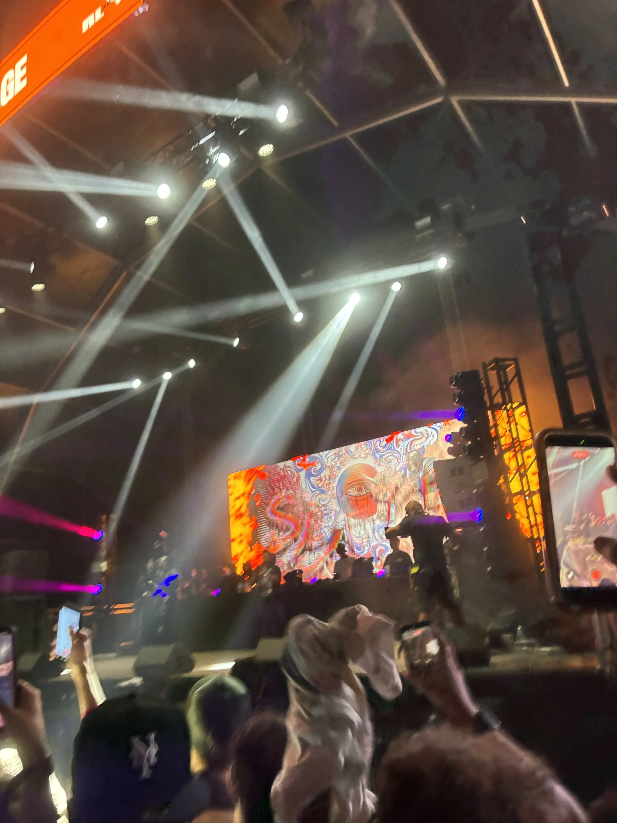 IMG_7329.jpeg