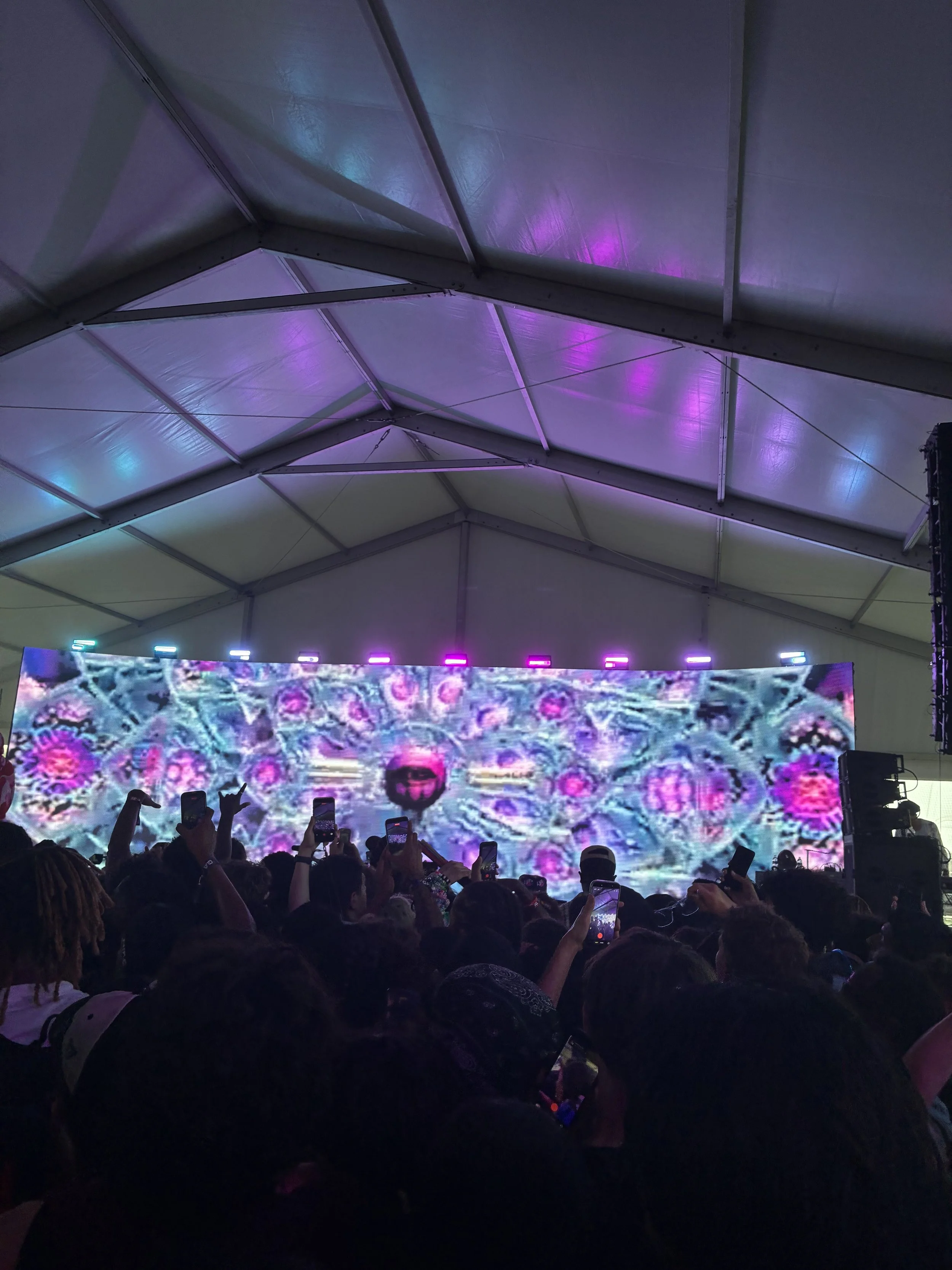 IMG_8307.jpeg
