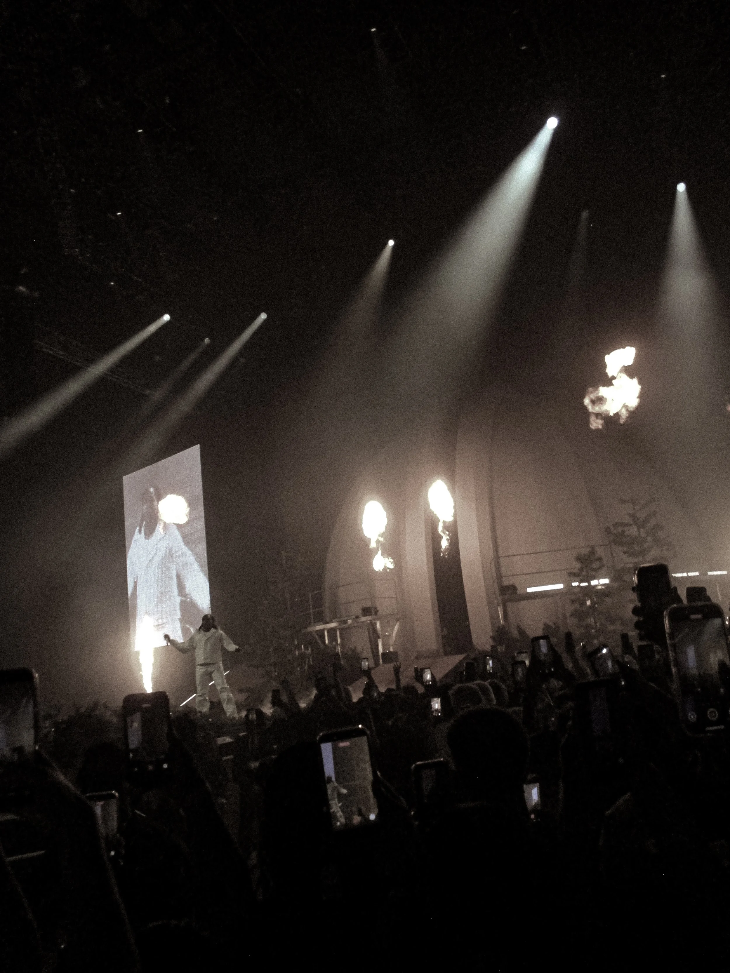 IMG_2278.jpeg