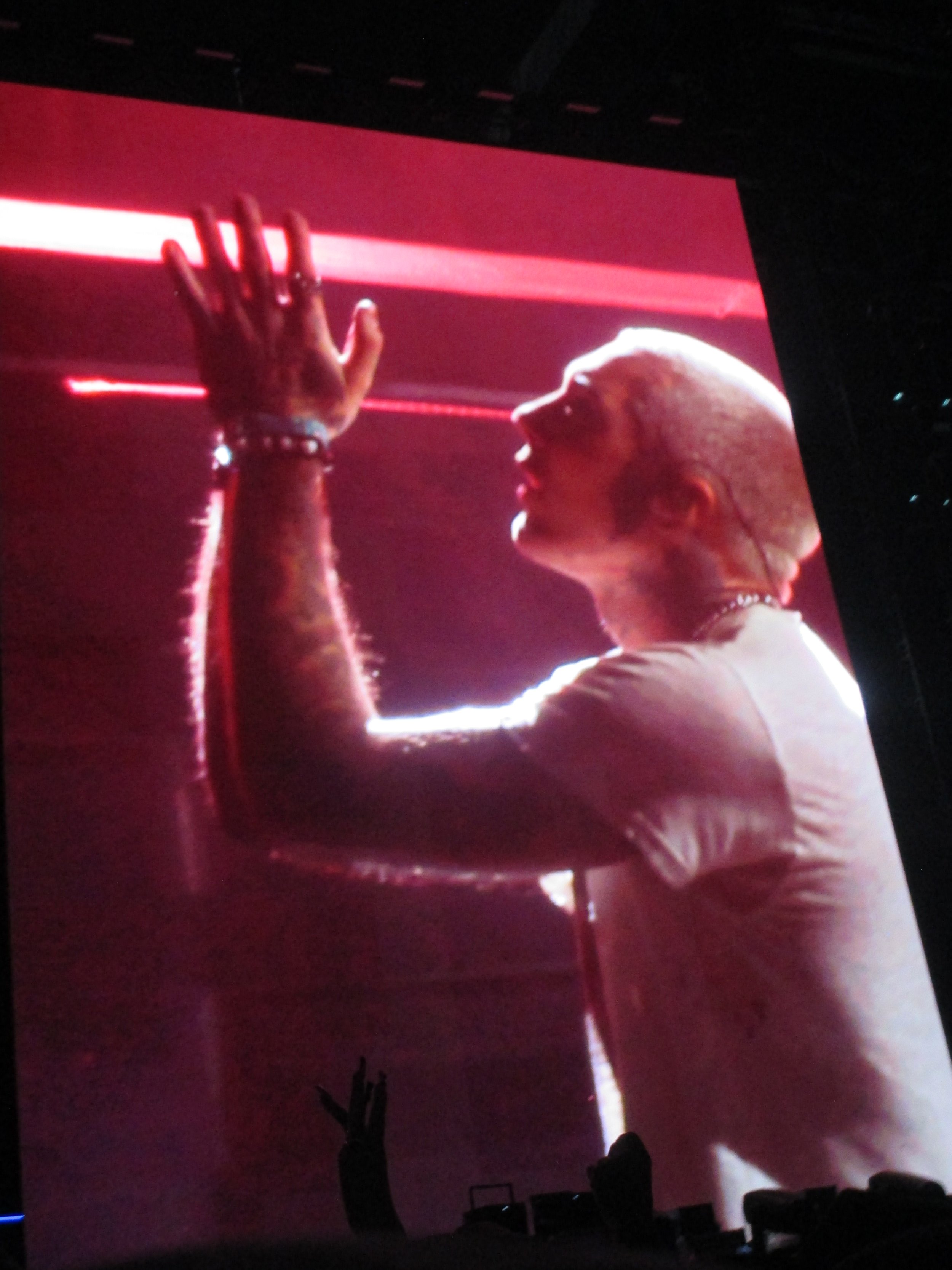 IMG_1137.jpeg