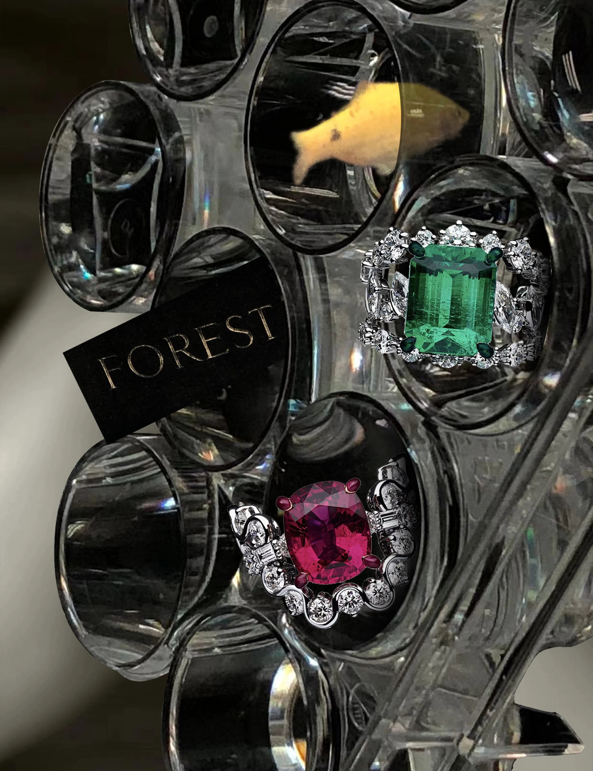 DIOR_01.jpg