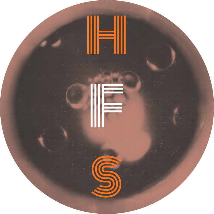 Horstone Focus Studios 