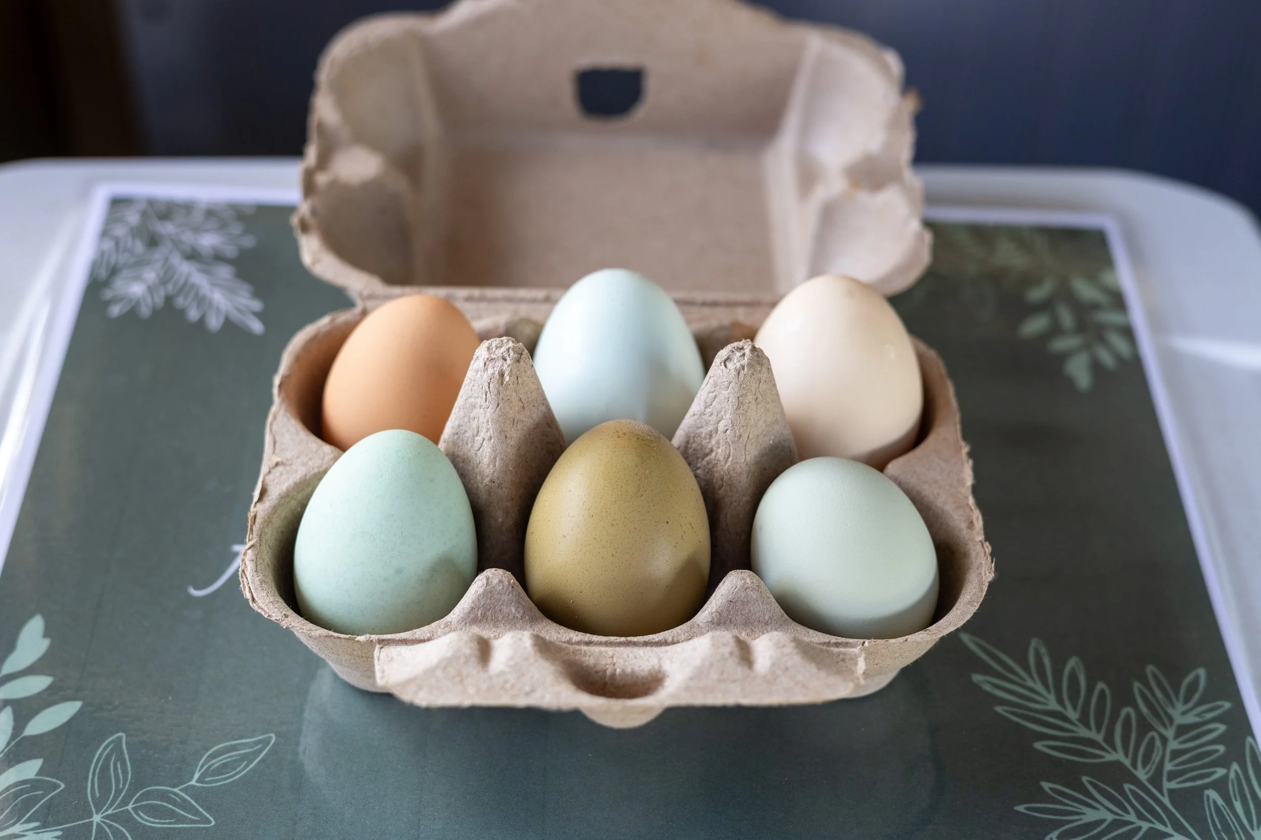1/2 Dozen Eggs - Pickup 8/22