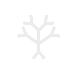 Newen Collective
