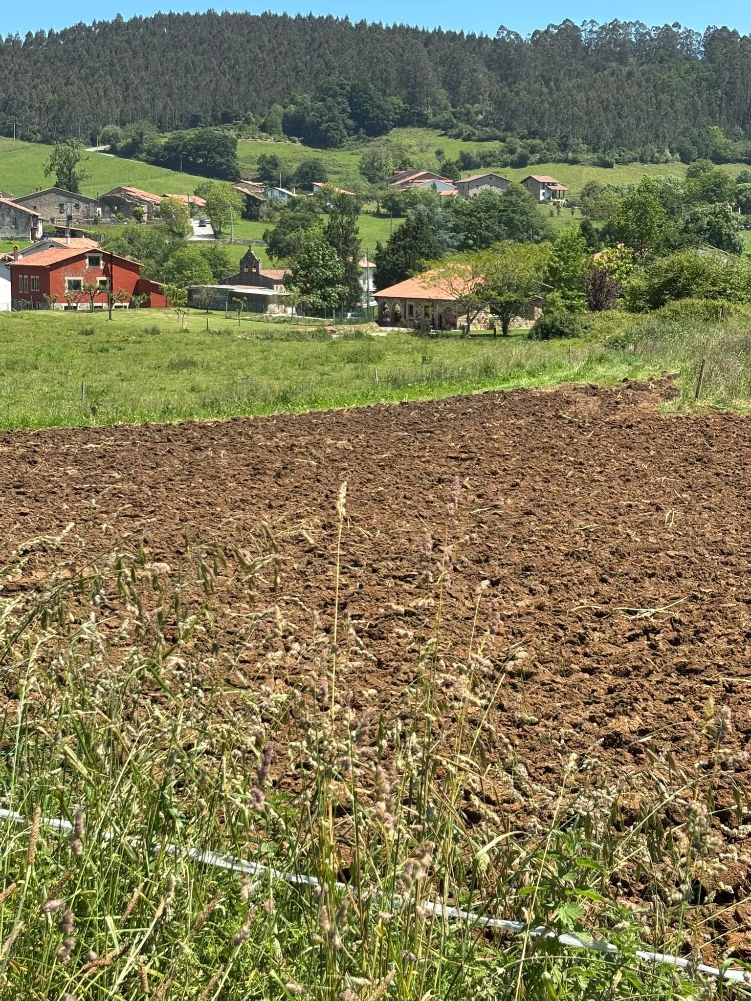 Caviedes_Finca_04