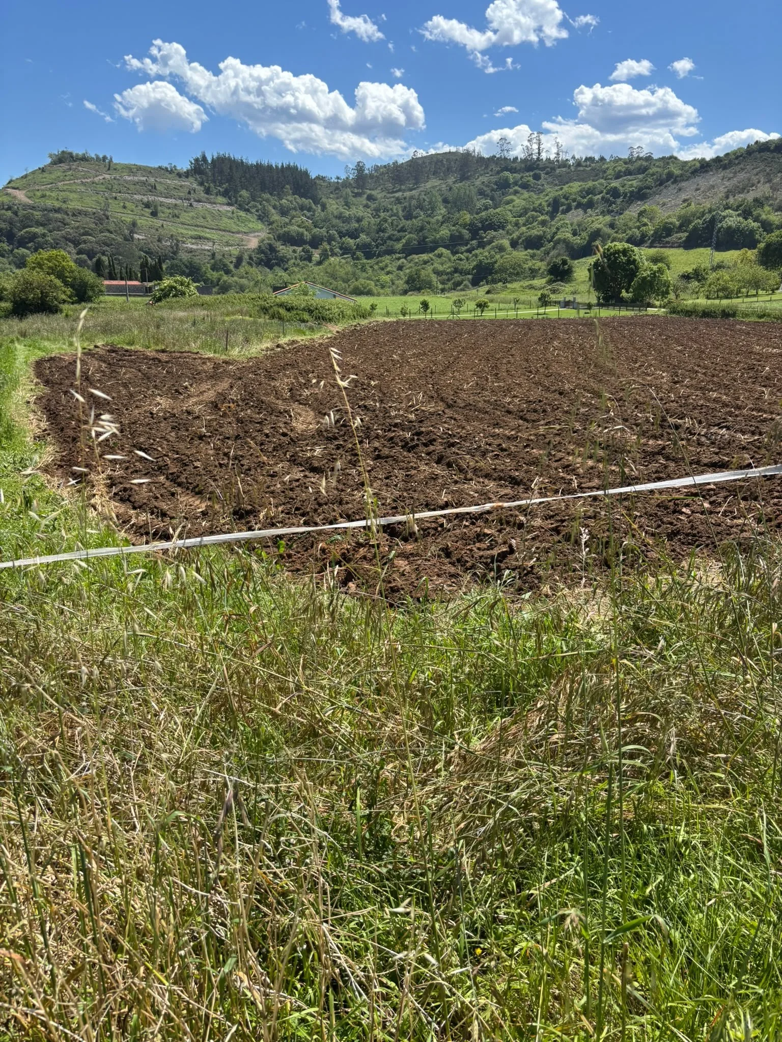 Caviedes_Finca_05