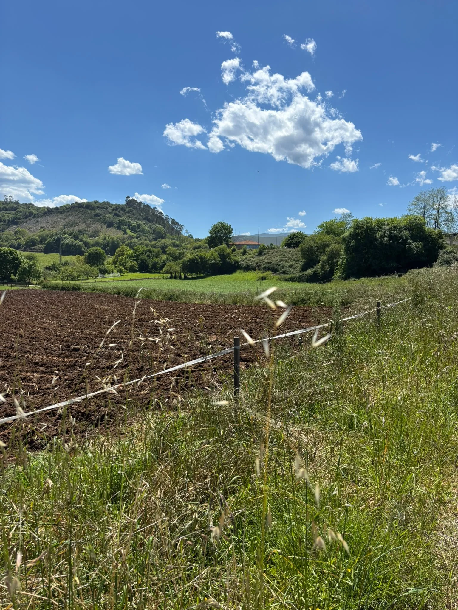 Caviedes_Finca_06