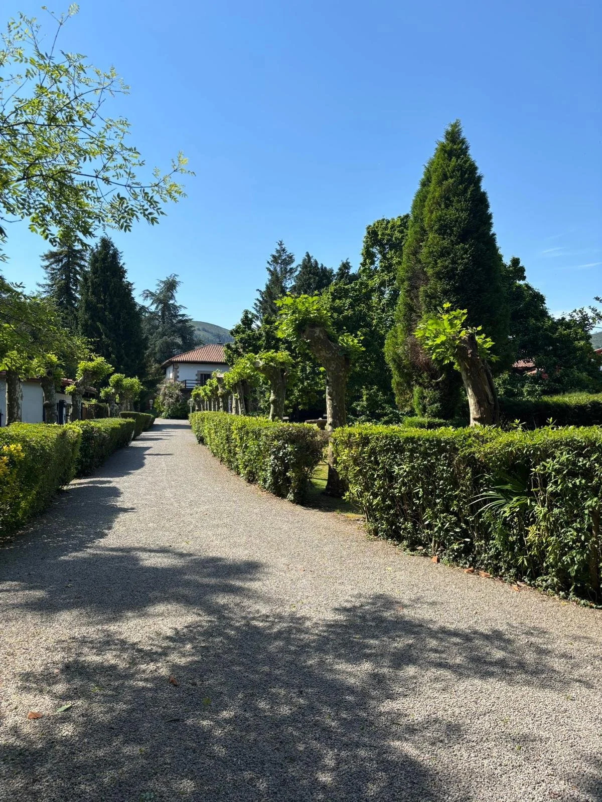 Carrejo Finca 04