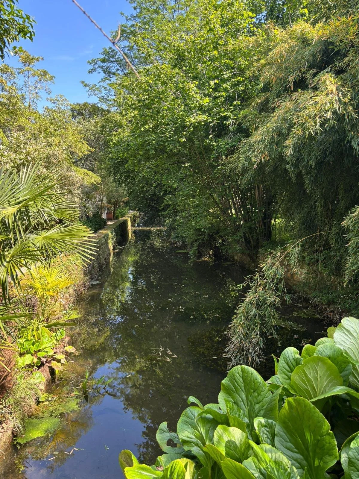 Carrejo Finca =1