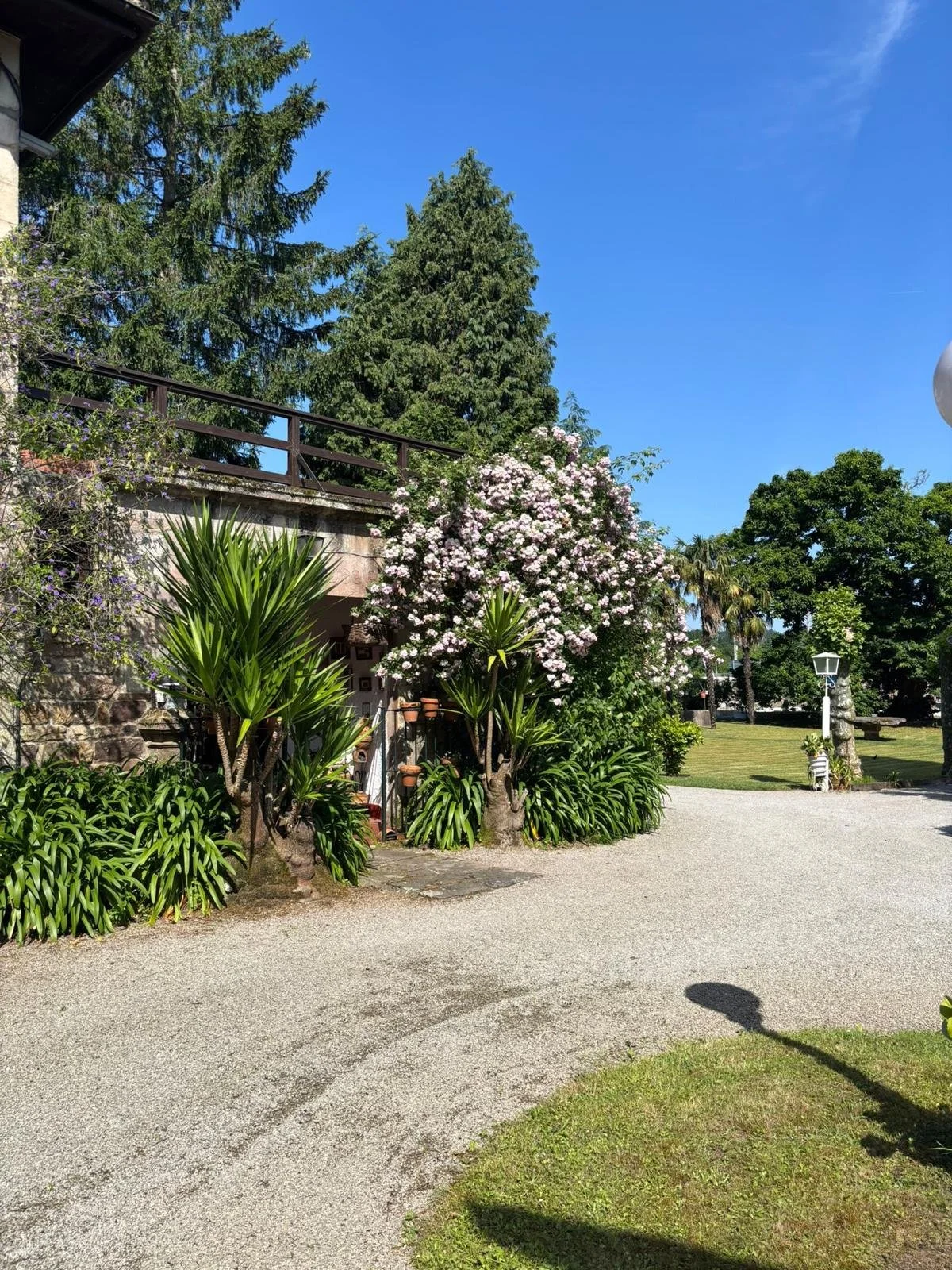 Carrejo Finca 02