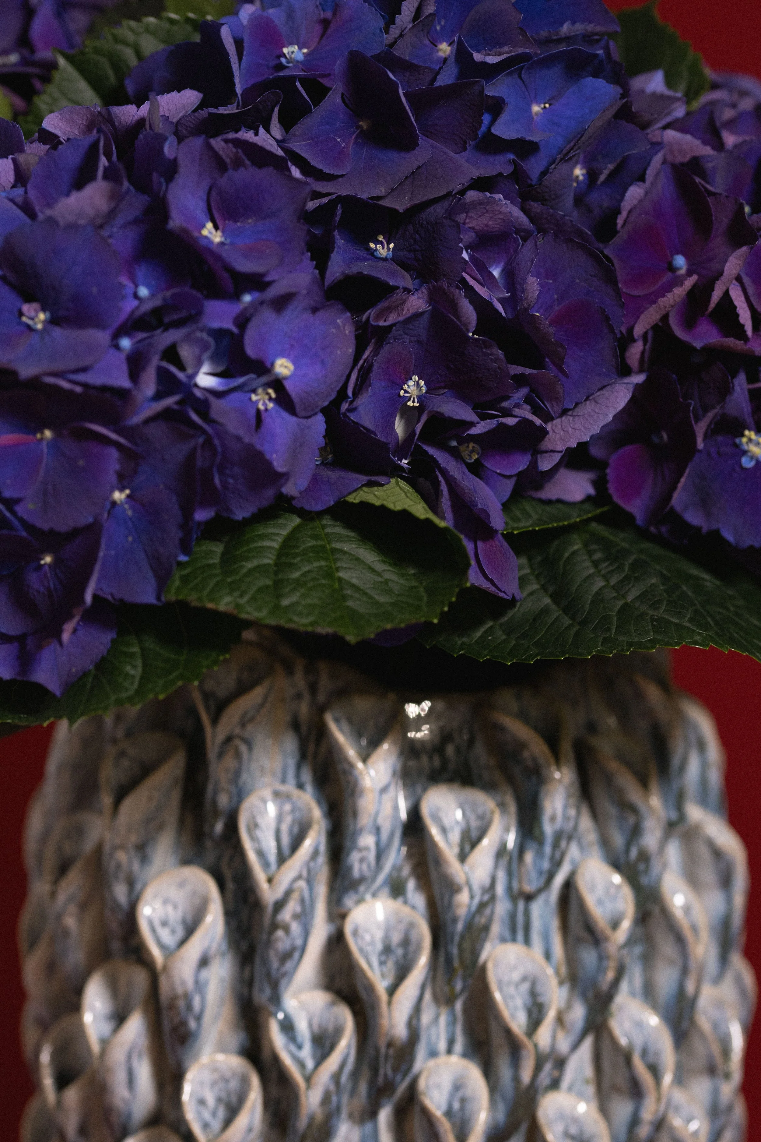 Fiori di ortensia viola in un vaso decorativo con superficie in ceramica ornata.