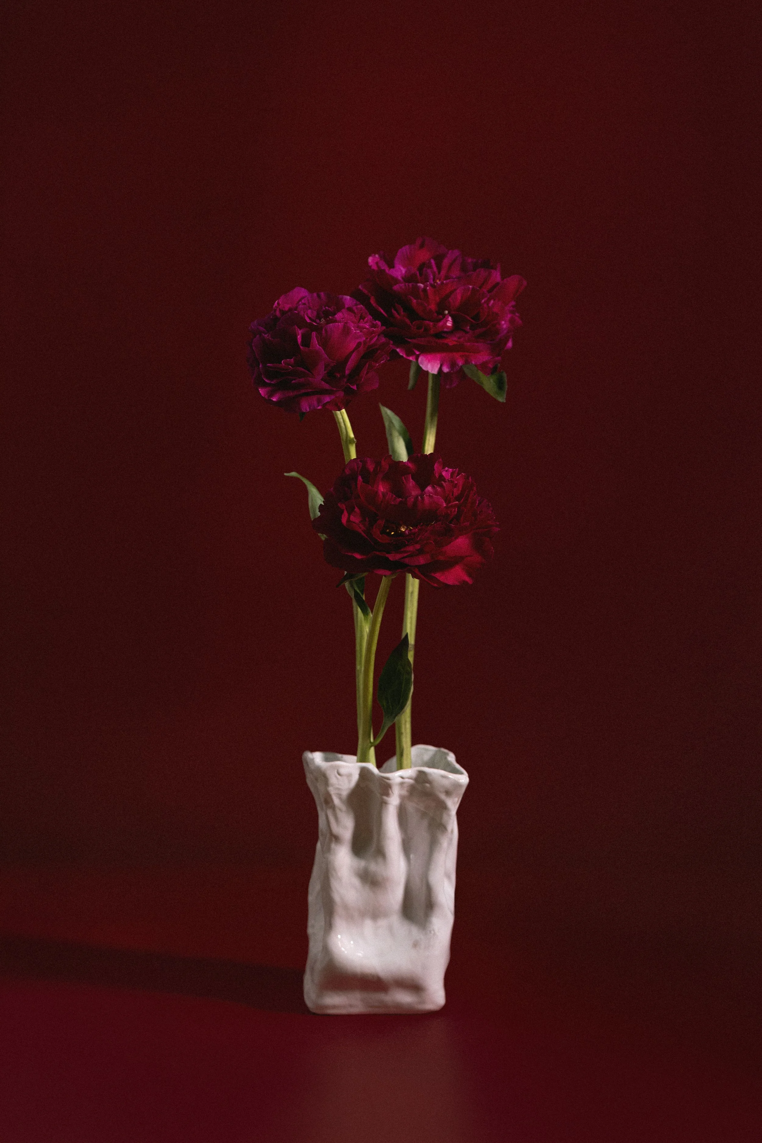 Fascetta di fiori viola in un vaso bianco con sfondo rosso scuro.