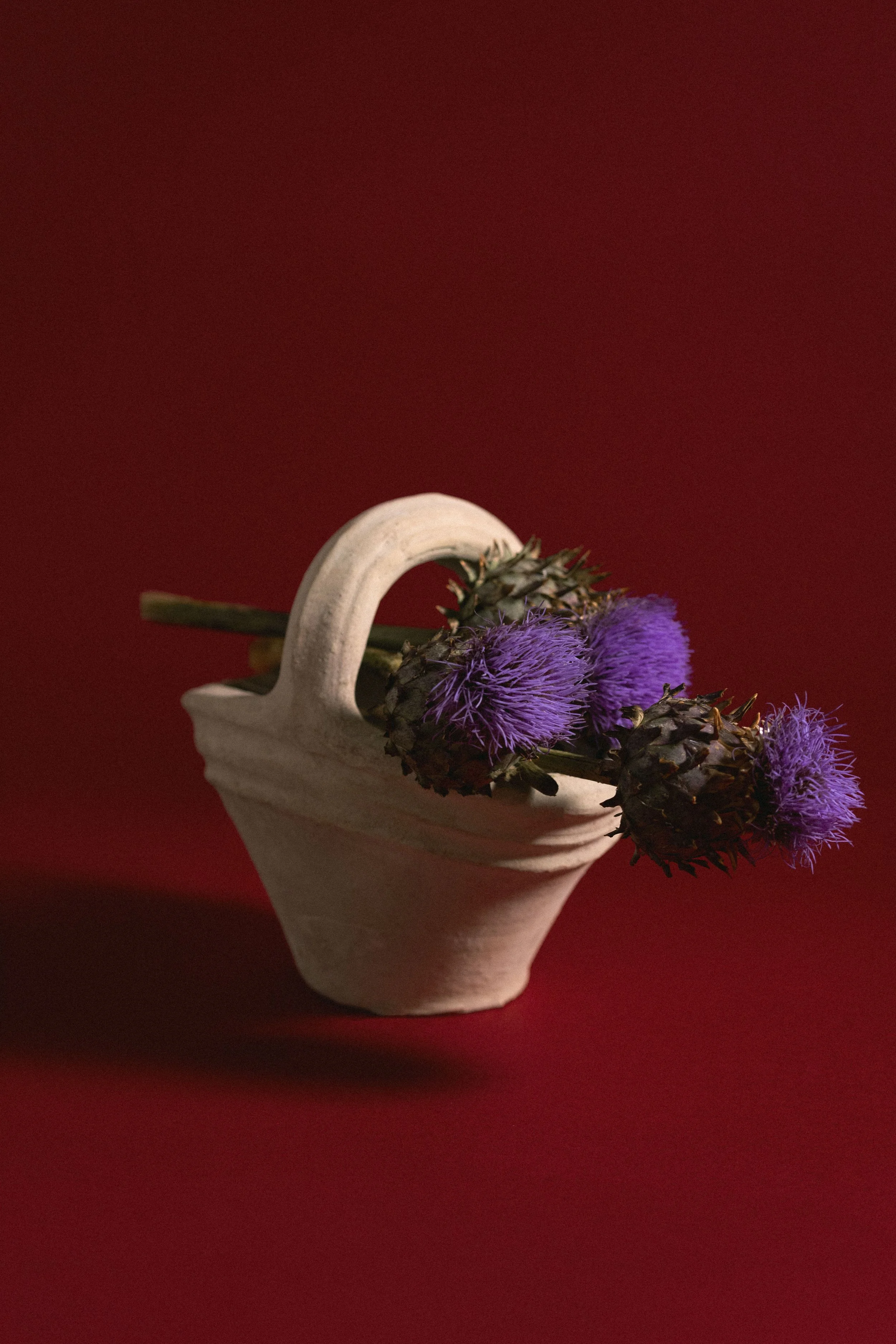 Vaso bianco con fiori di Iperico viola e di colore scuro, sfondo rosso.